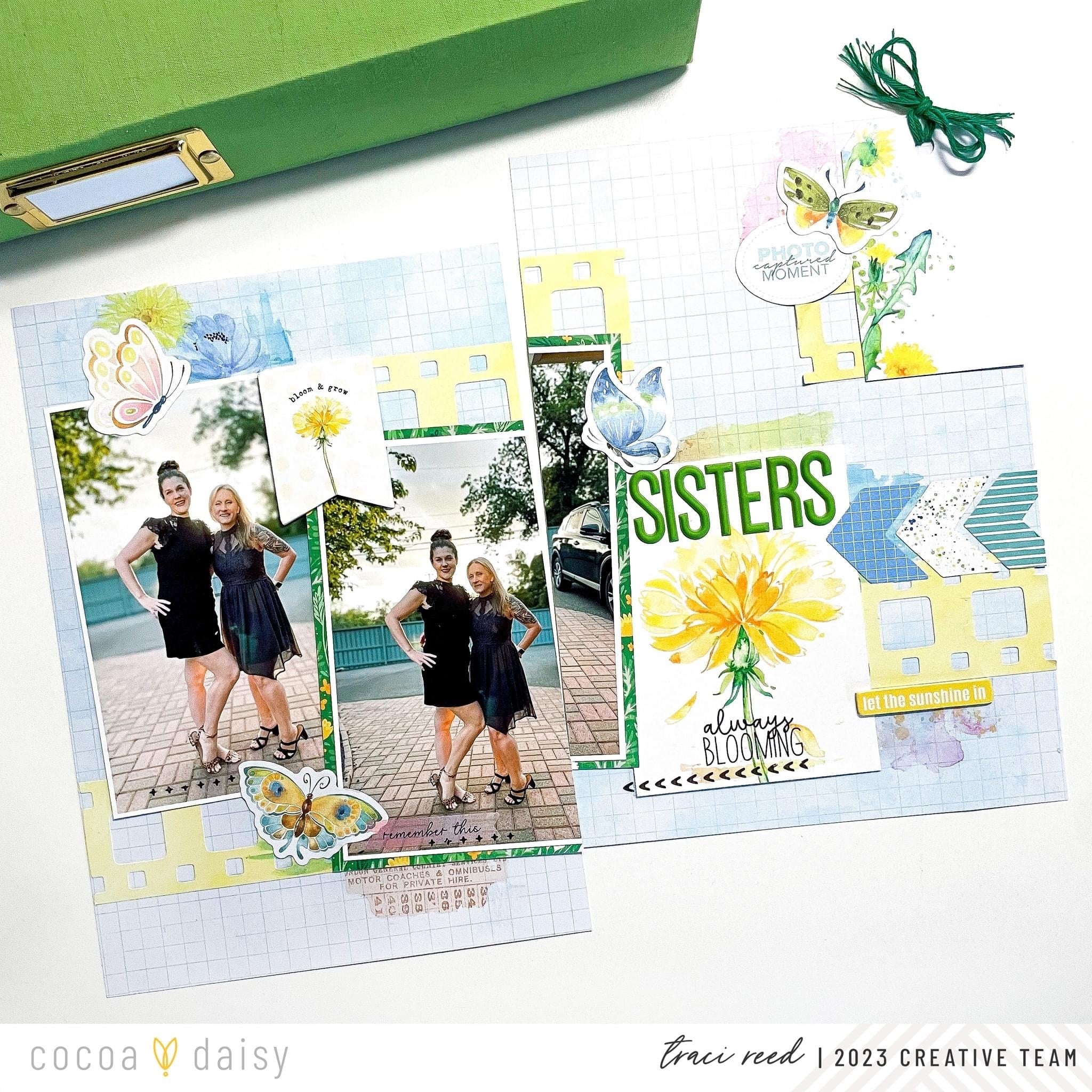 Product Focus: Film Strip Die Cuts – Cocoa Daisy