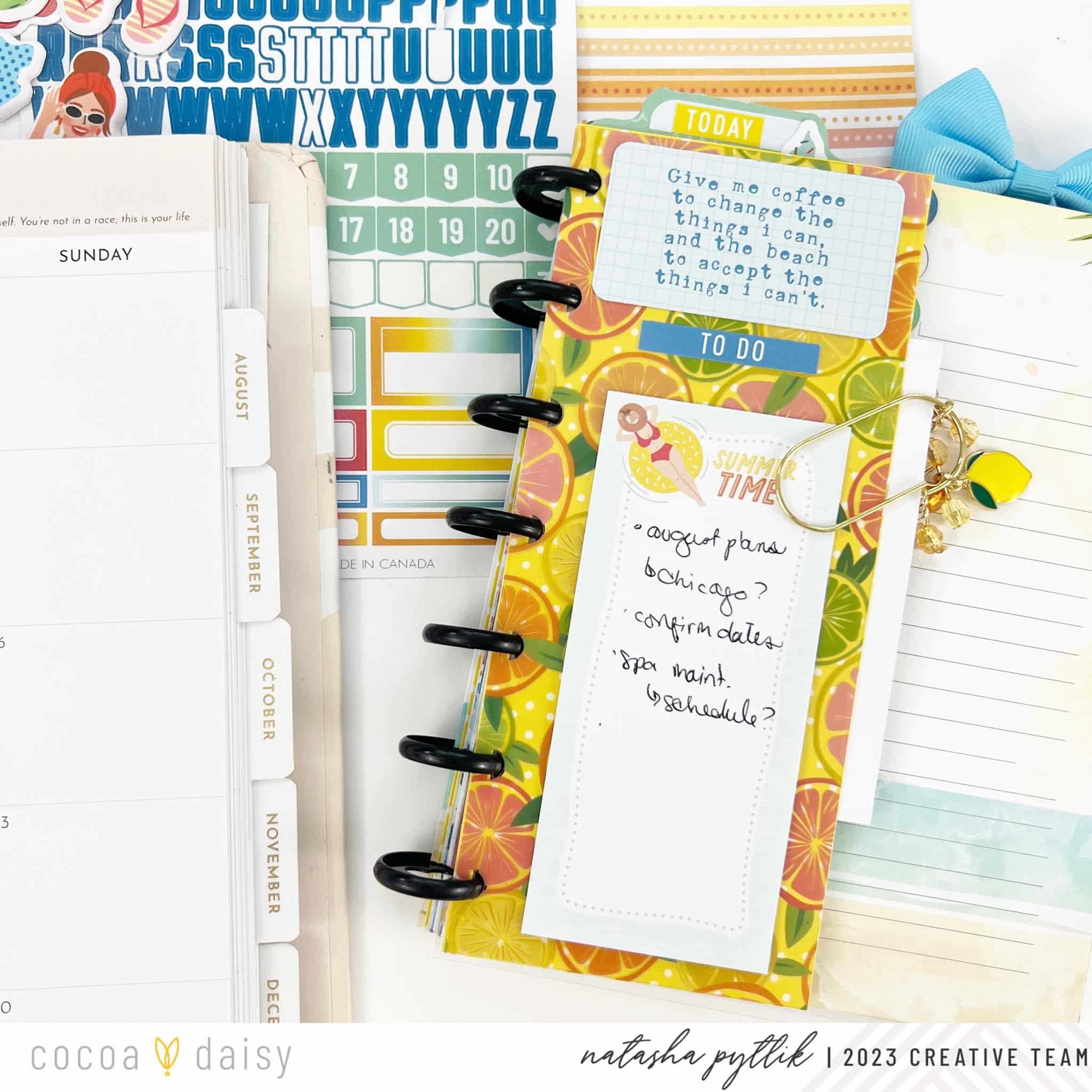 Snarky Sentiments in Your Planner Setup Cocoa Daisy