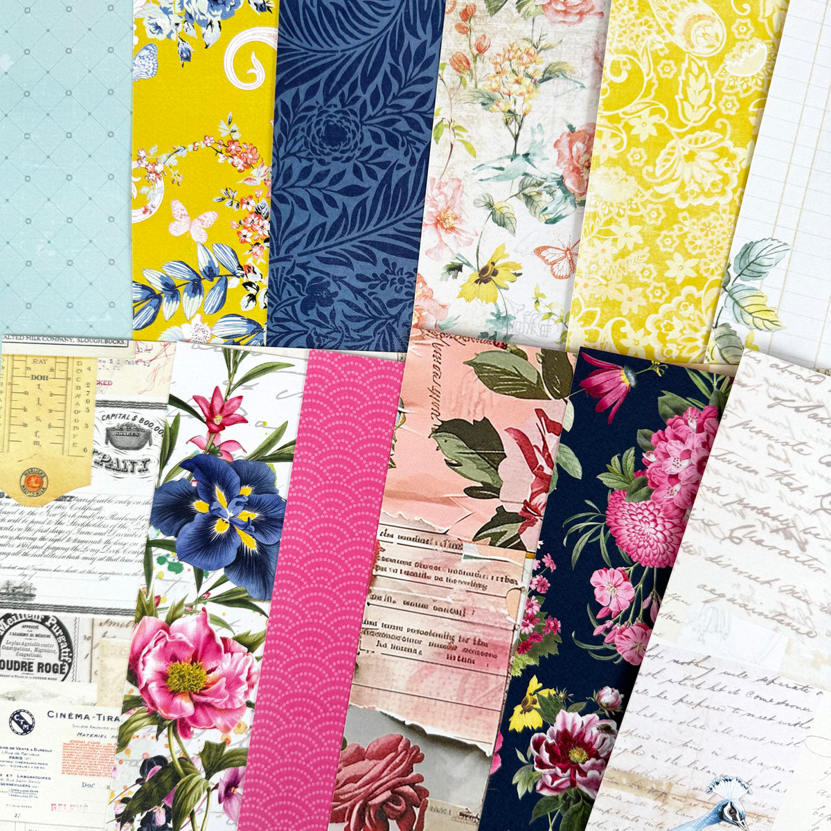 Penelope 12x12 Set of Monthly Papers - February 2025