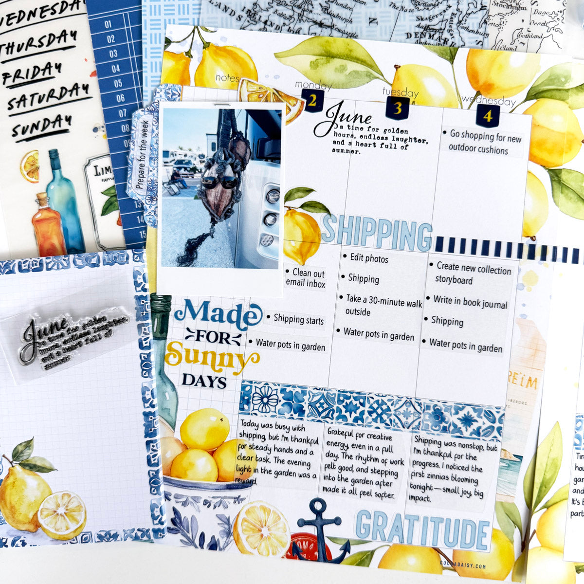 Mediterranean Muse Deluxe Journaling Kit- June 2025