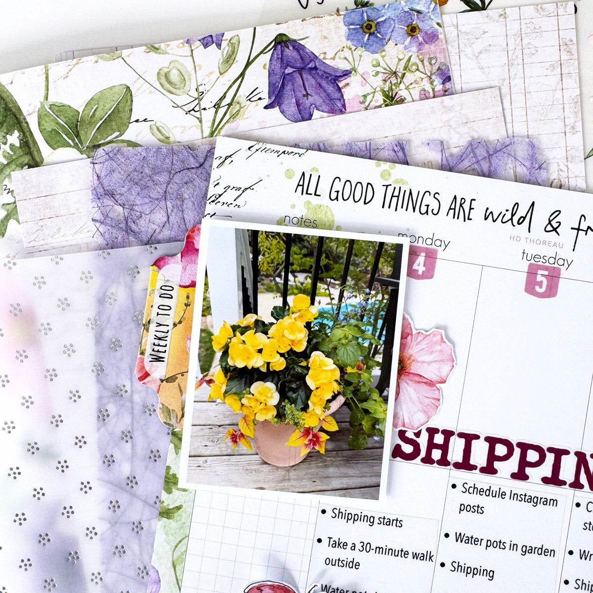 Flutterby Deluxe Journaling Kit- August 2025