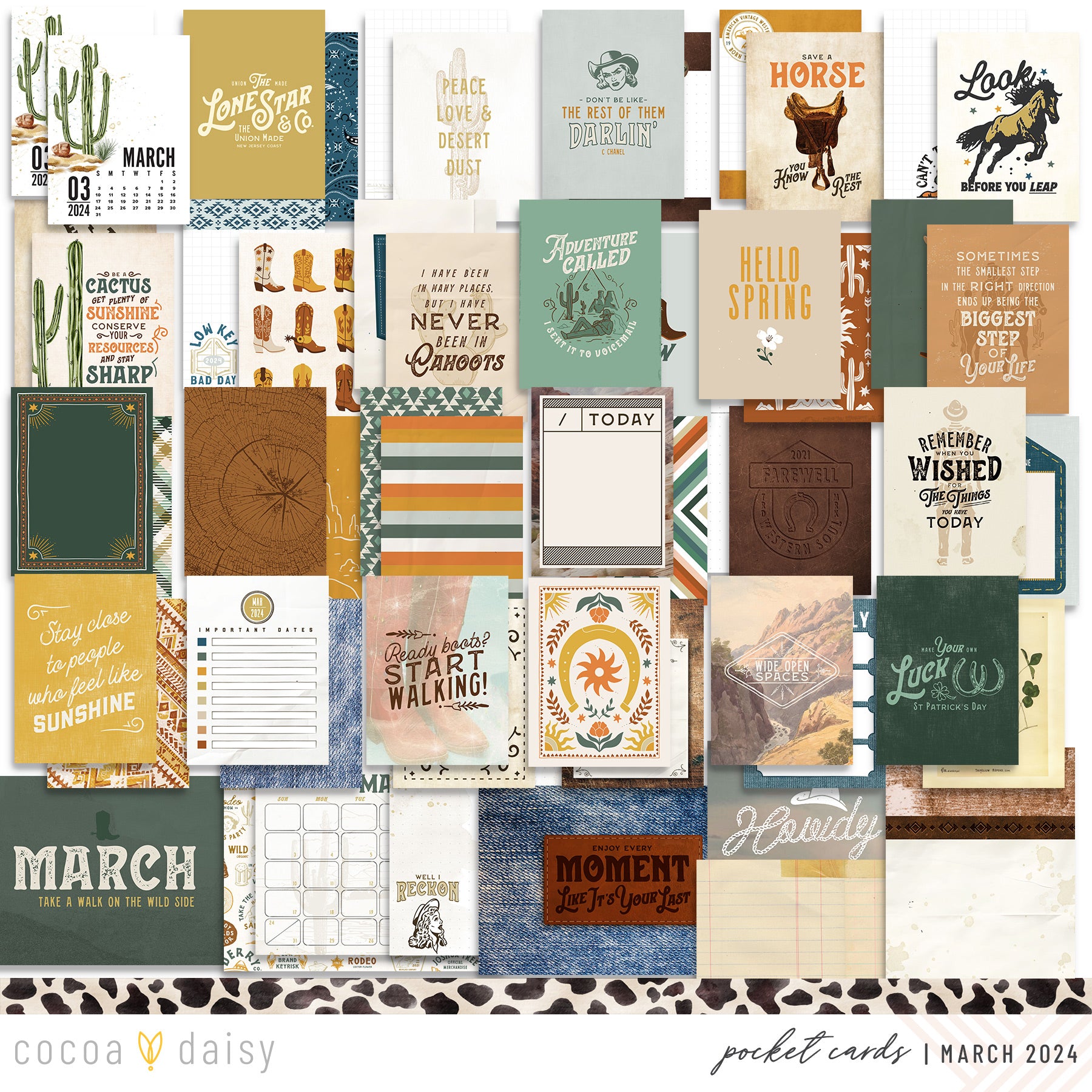 Big Sky Pocket Cards Only March 2024