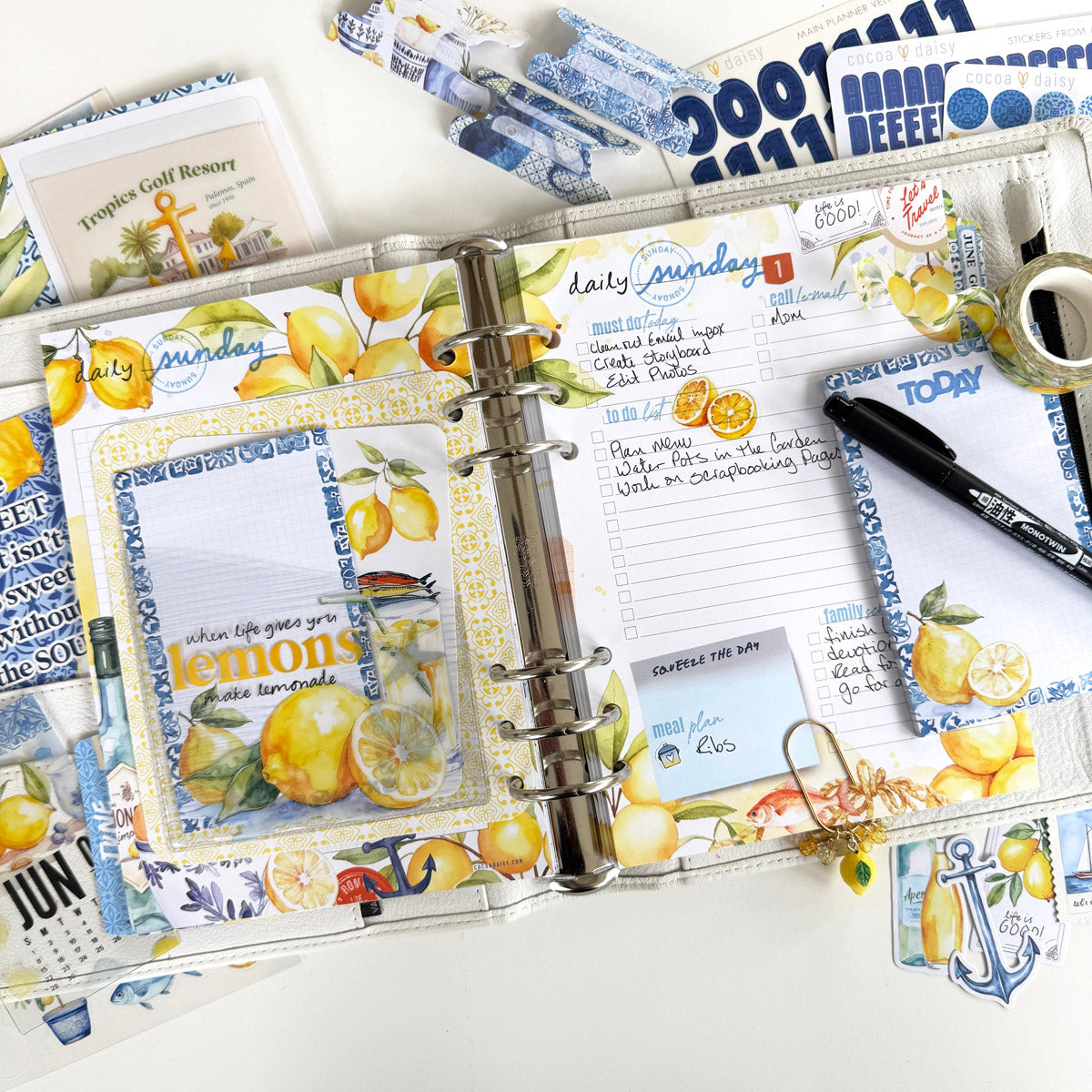 Mediterranean Muse Planner Kit - Choose your insert or notebook - June 2025