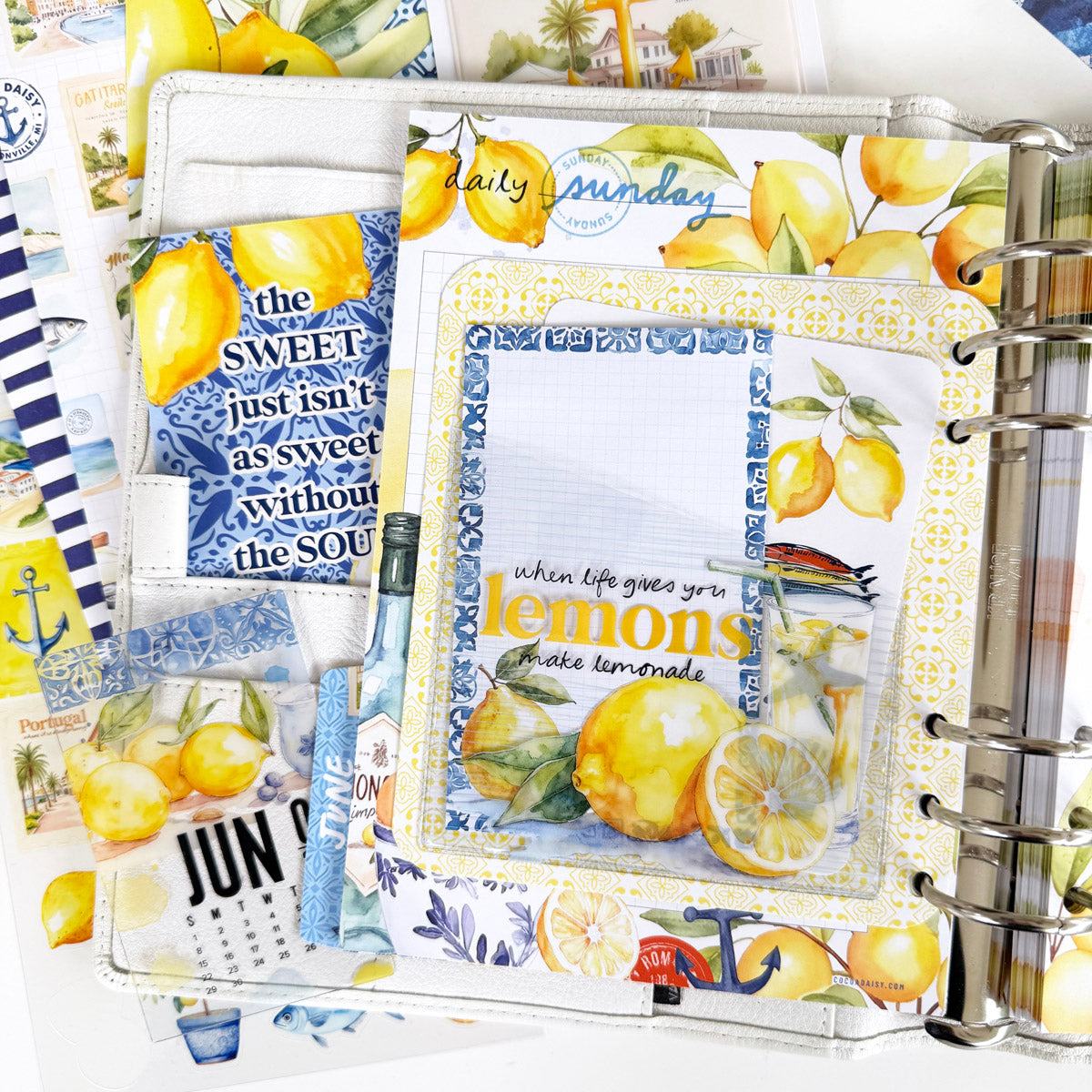 Mediterranean Muse Planner Kit - Choose your insert or notebook - June 2025