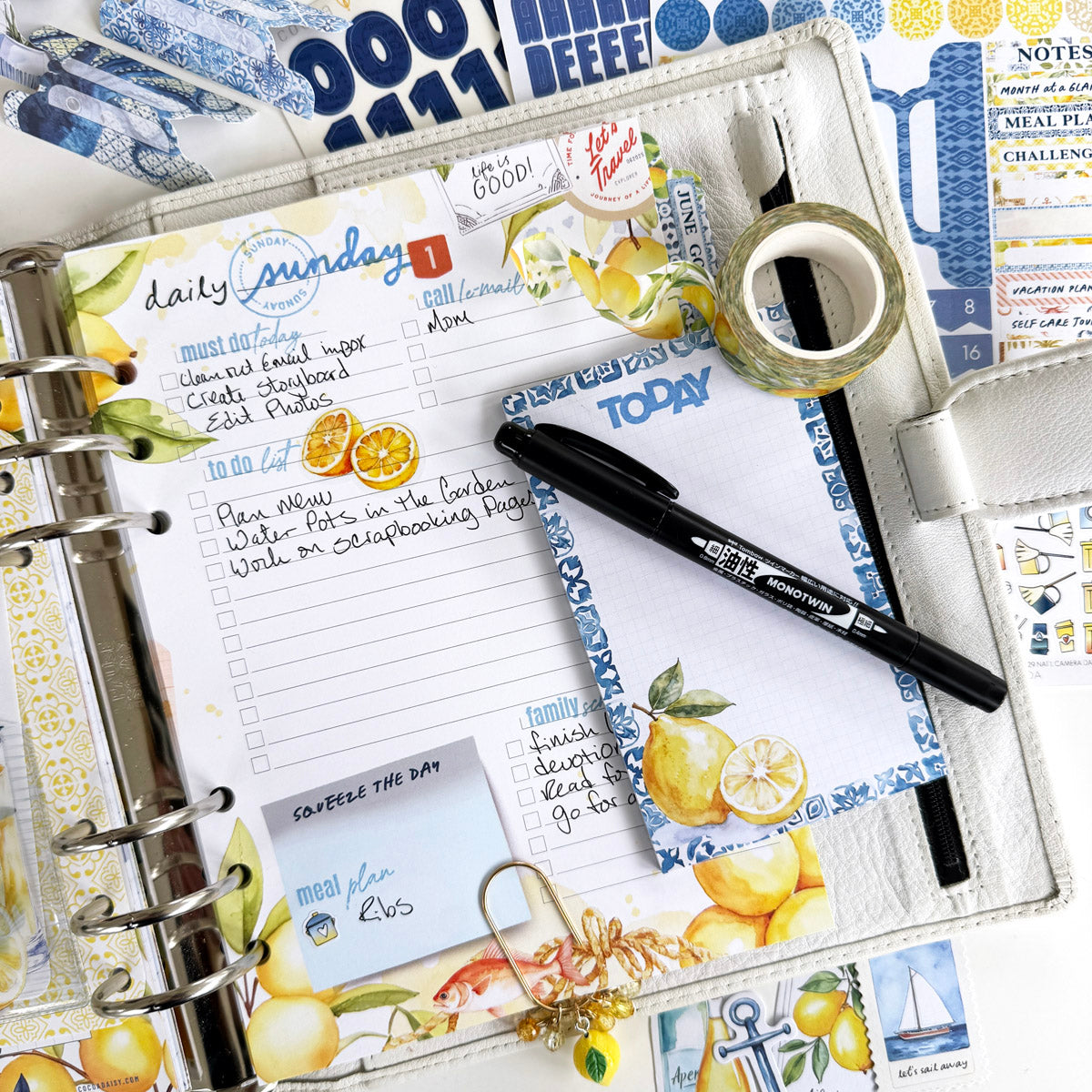 Mediterranean Muse Planner Kit - Choose your insert or notebook - June 2025