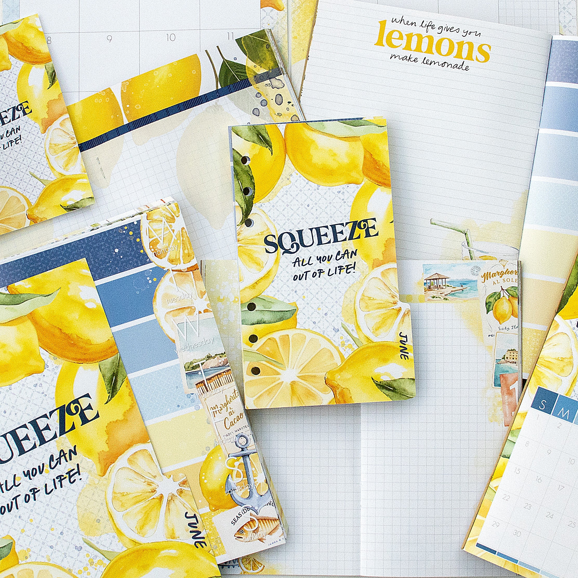 Mediterranean Muse Inserts or notebook Only - Choose your size - June 2025
