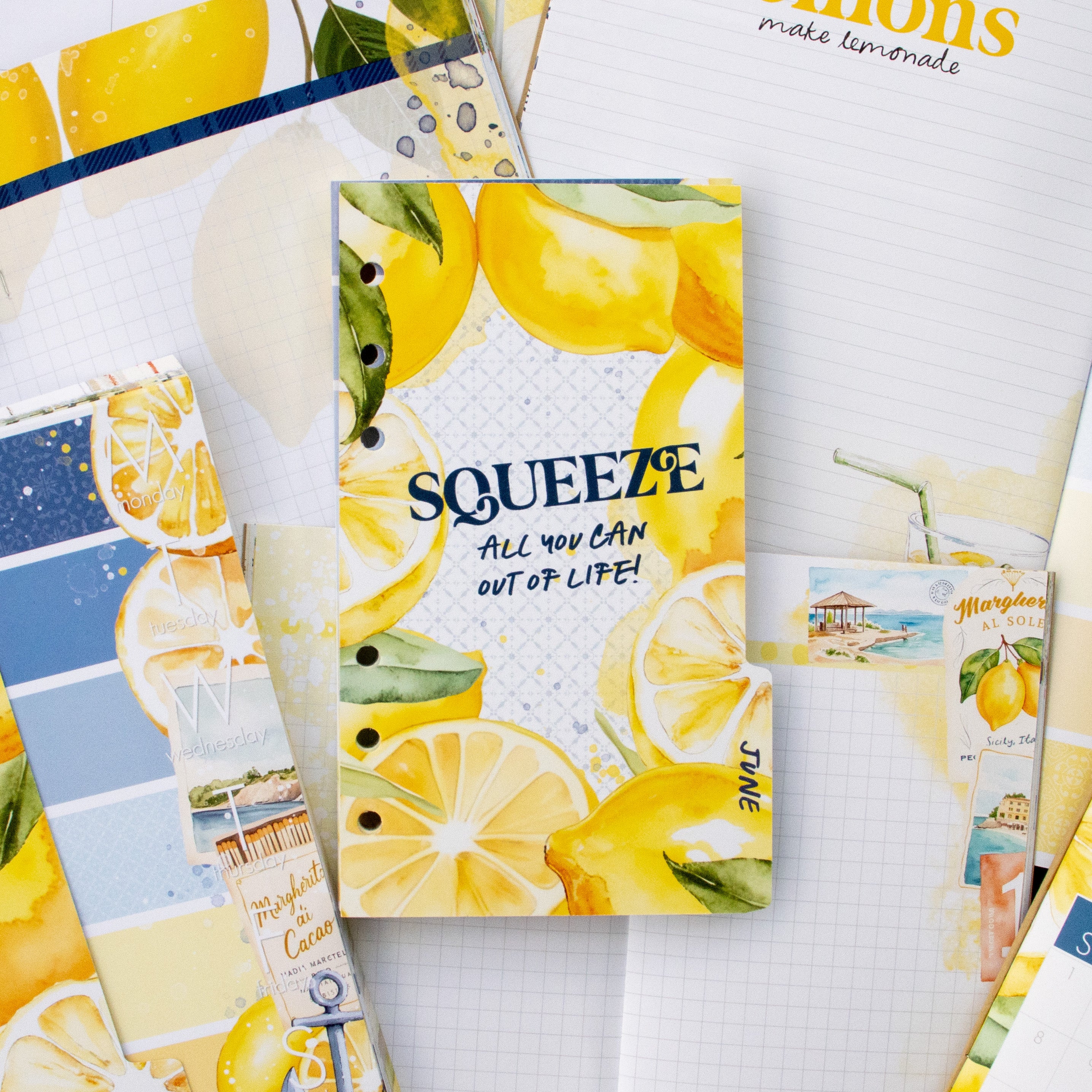 Mediterranean Muse Inserts or notebook Only - Choose your size - June 2025