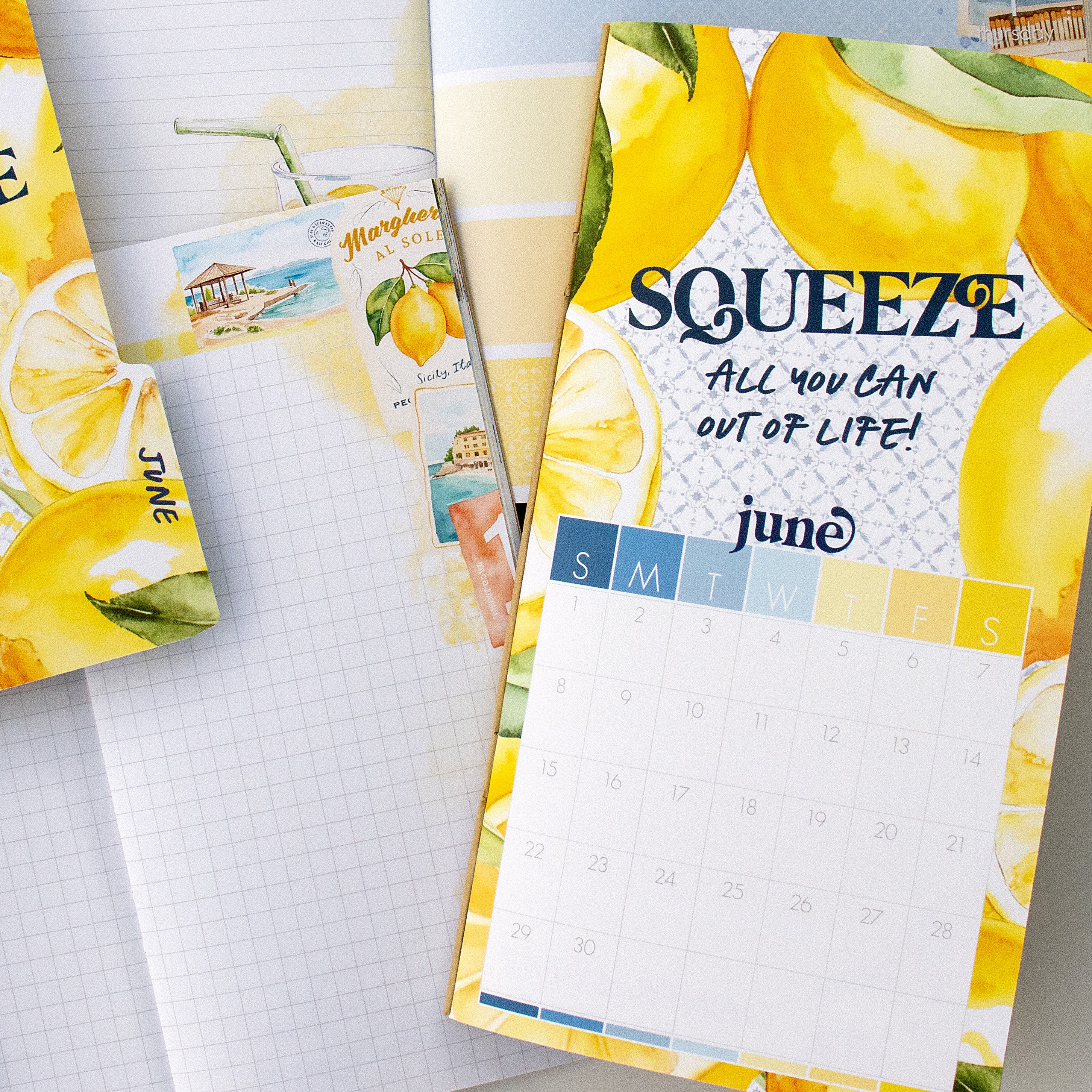 Mediterranean Muse Inserts or notebook Only - Choose your size - June 2025
