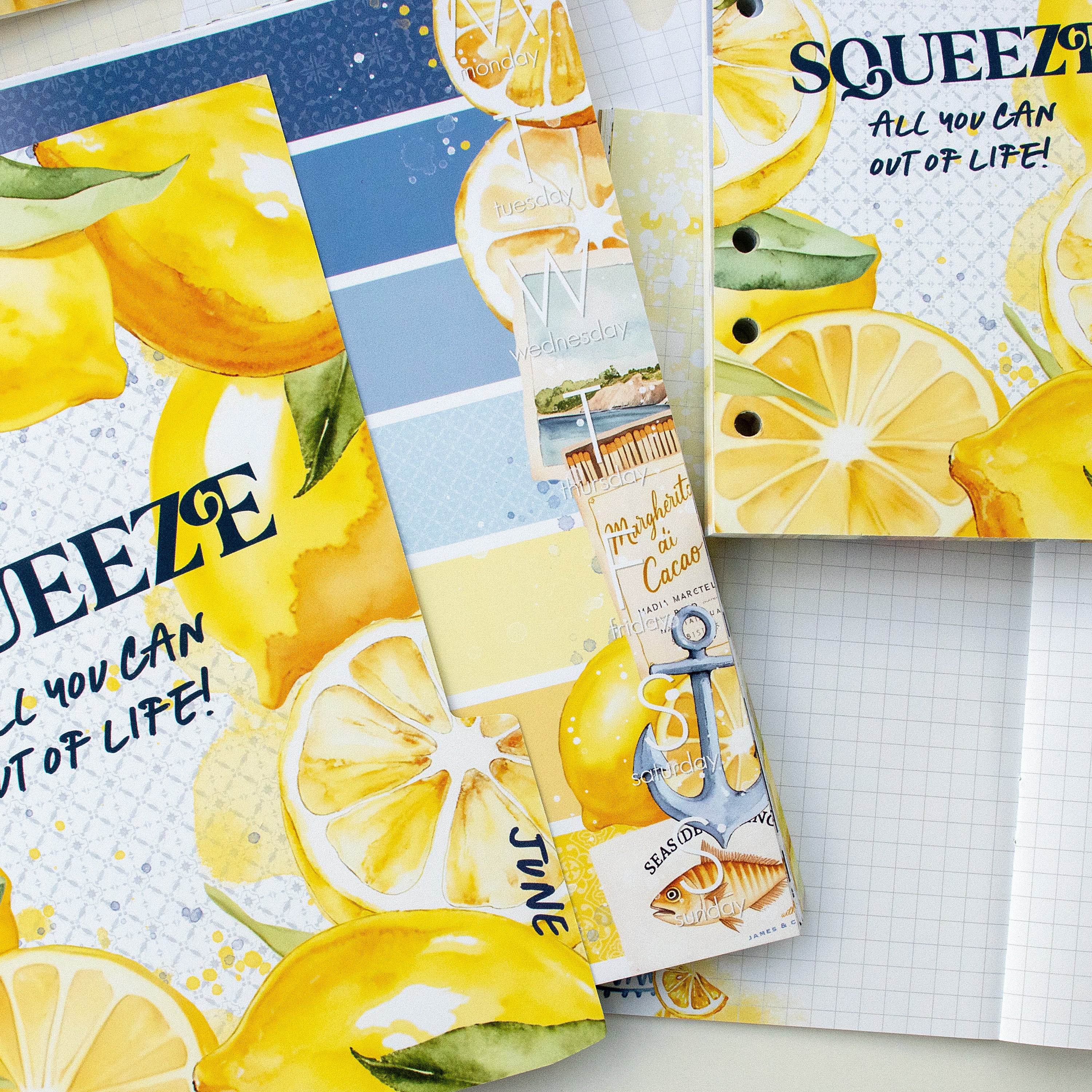 Mediterranean Muse Inserts or notebook Only - Choose your size - June 2025