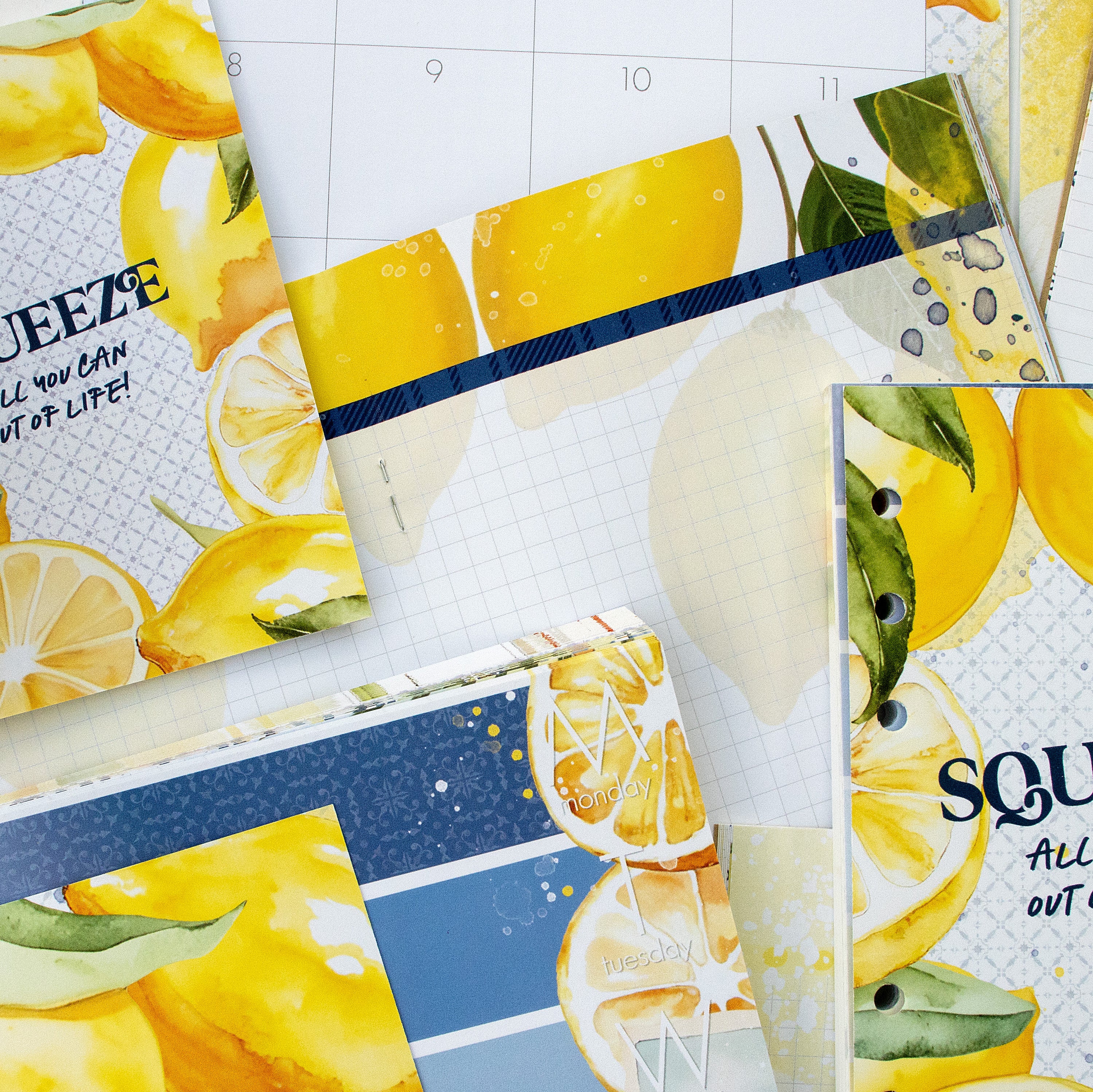 Mediterranean Muse Inserts or notebook Only - Choose your size - June 2025
