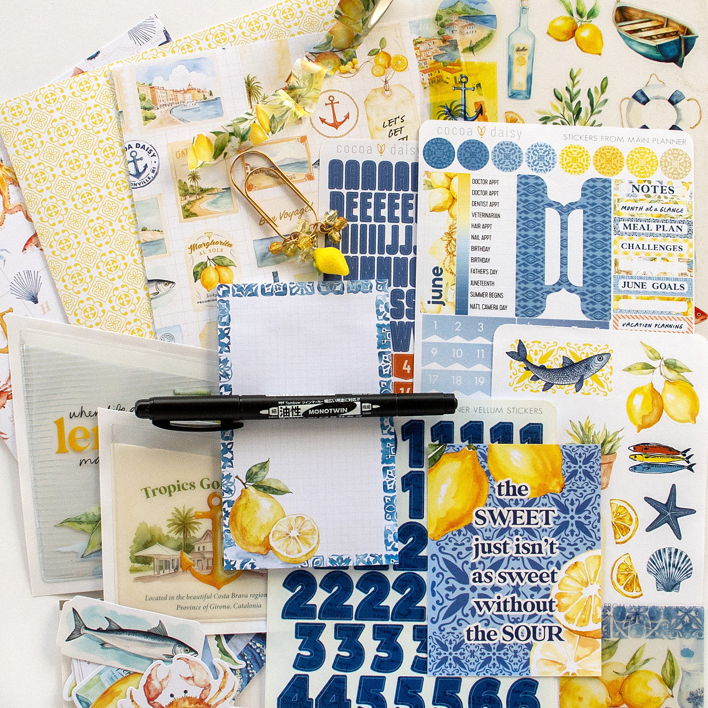 Mediterranean Muse Planner Kit - Choose your insert or notebook - June 2025