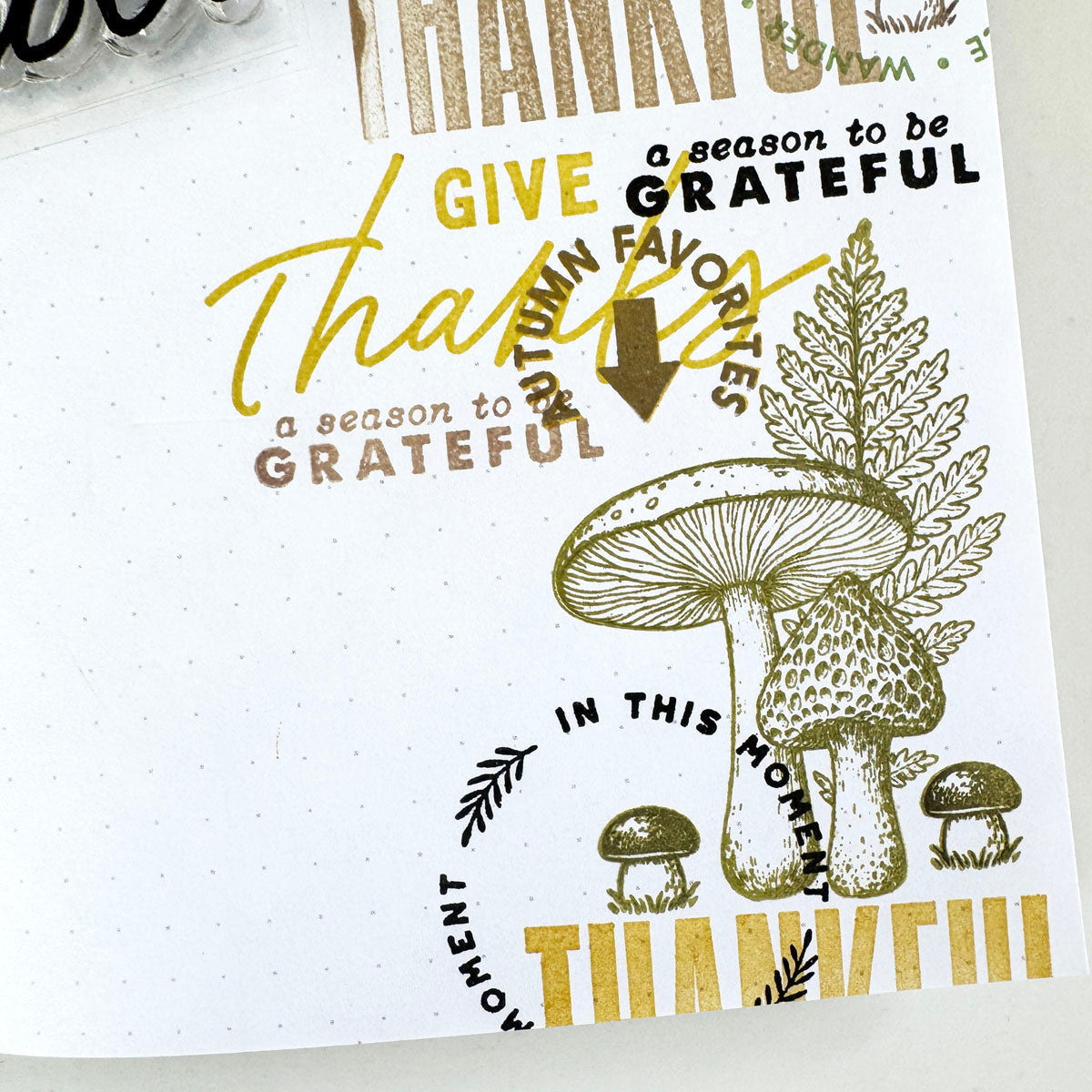 Moss & Mirth "Autumn Favorites" Stamp Set - November 2025