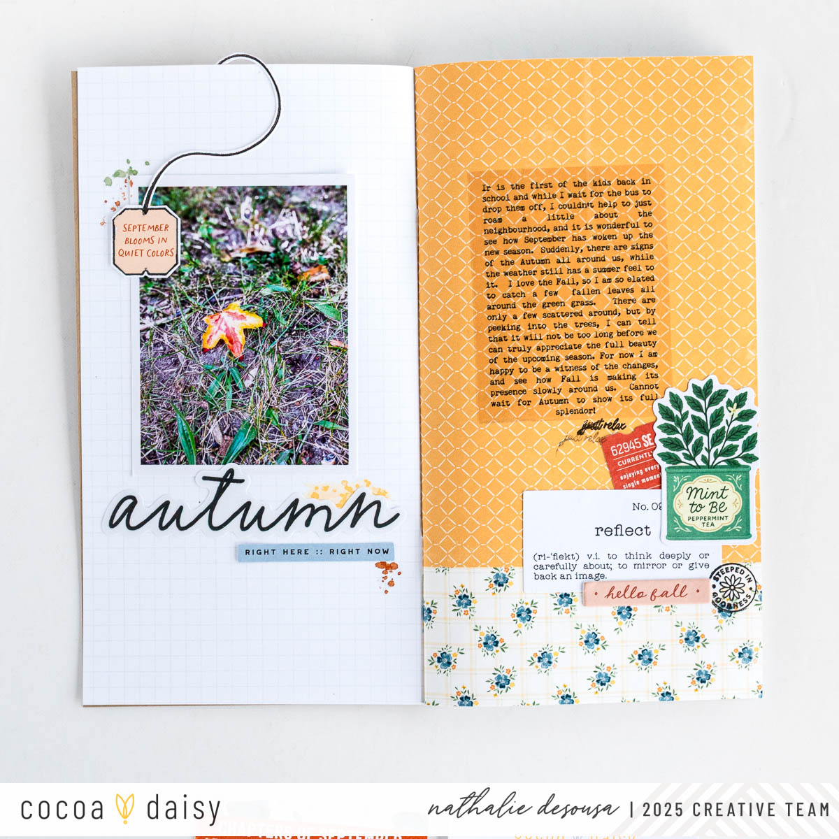 Document Signs of Fall with the Simple Daisy Notebook