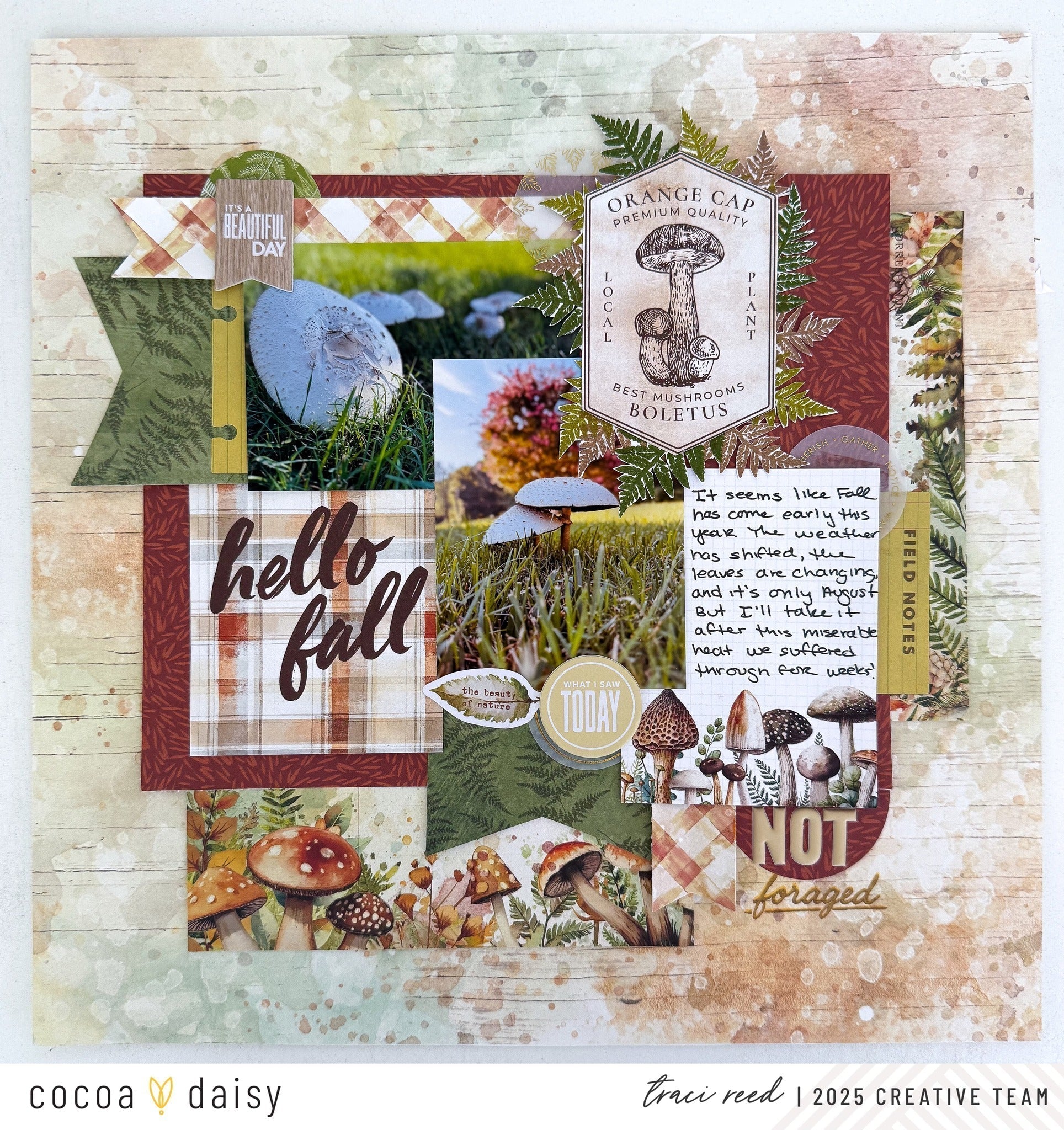 Scrapbooking with the Moss & Mirth Collection