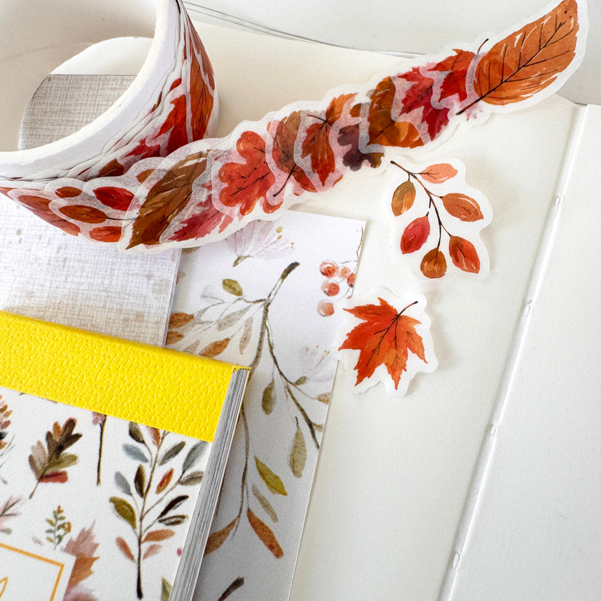 Creative Kit Subscription - 1 month