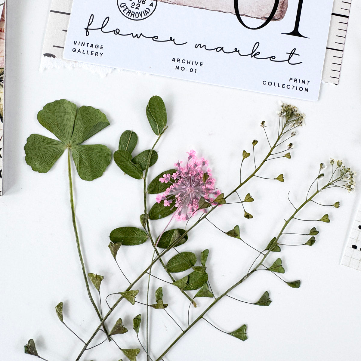 Creative Kit Subscription - 1 month