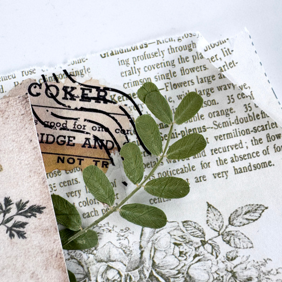 Creative Kit Subscription - 1 month