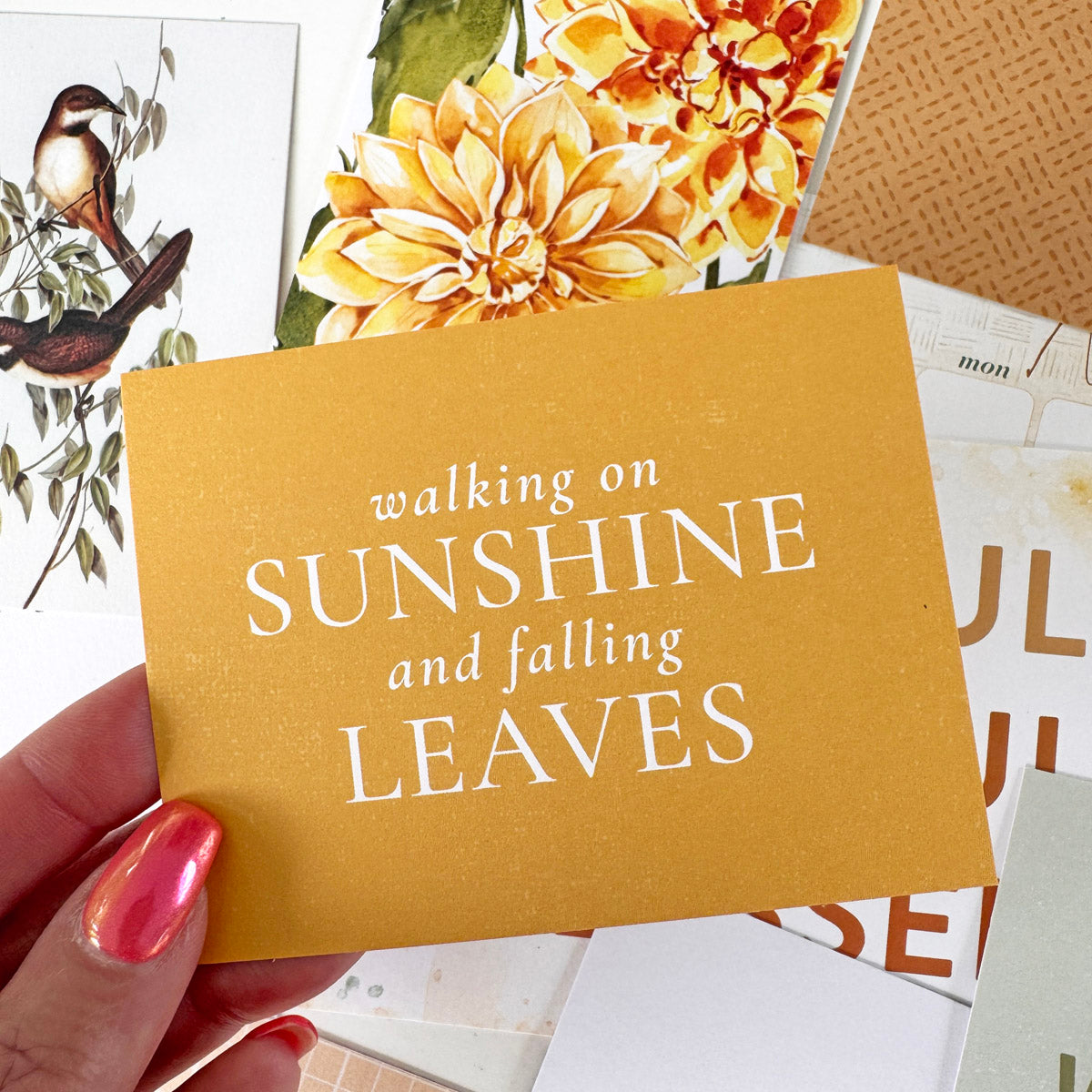 Memory Keeping Pocket Cards Subscription - 1 month