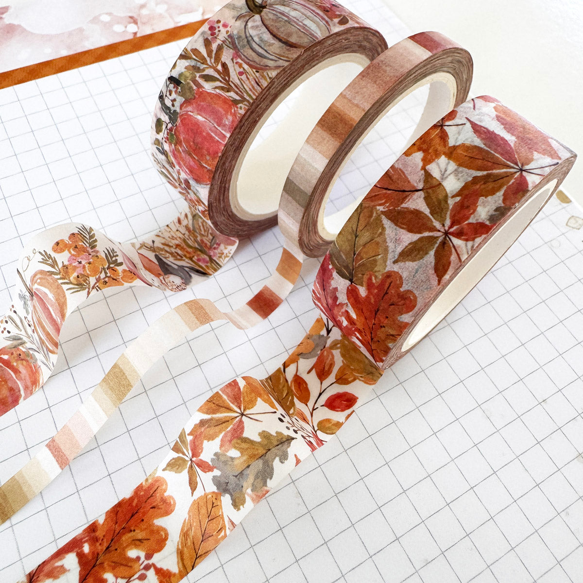 Washi Trio Subscription - 1 month