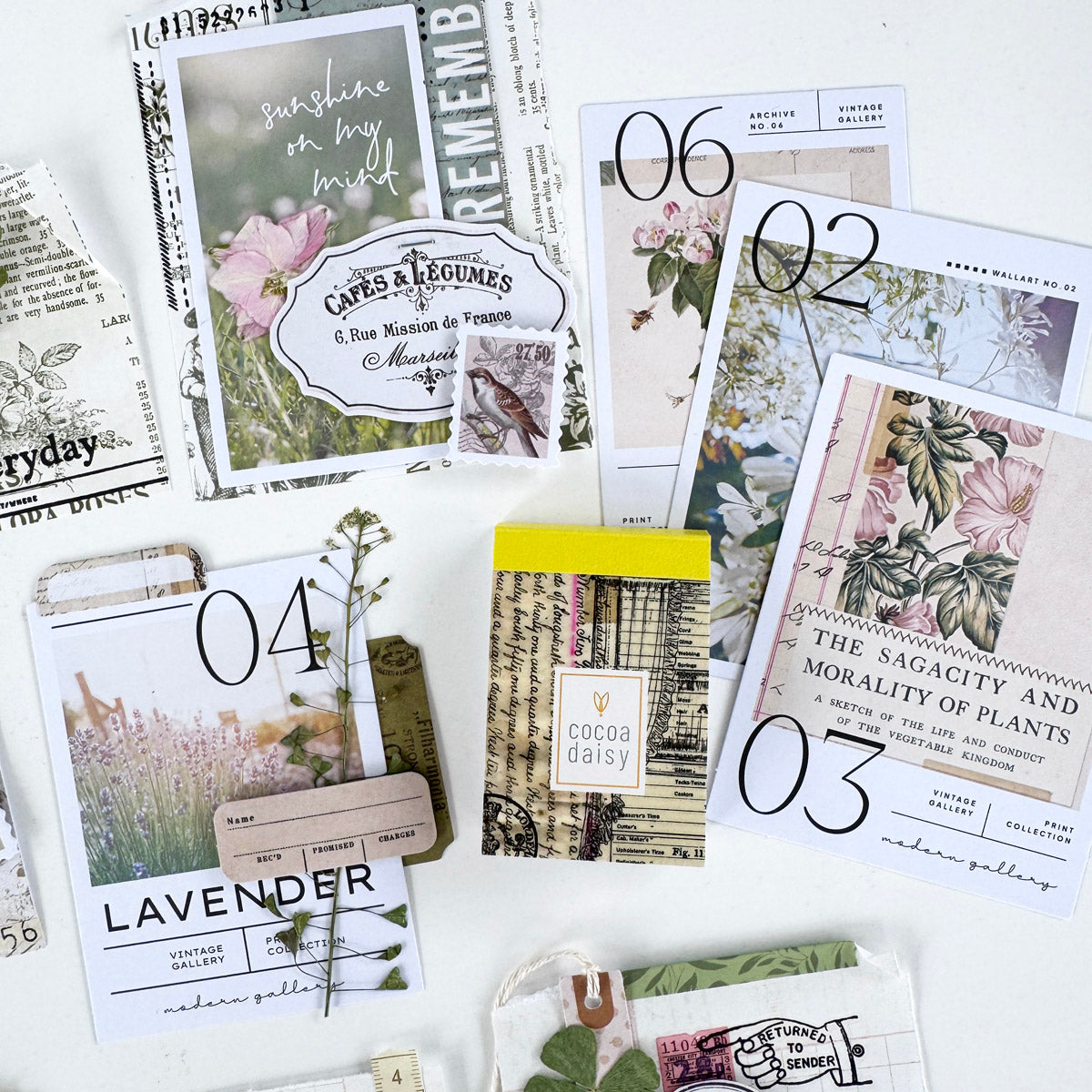 Creative Kit Subscription - 1 month