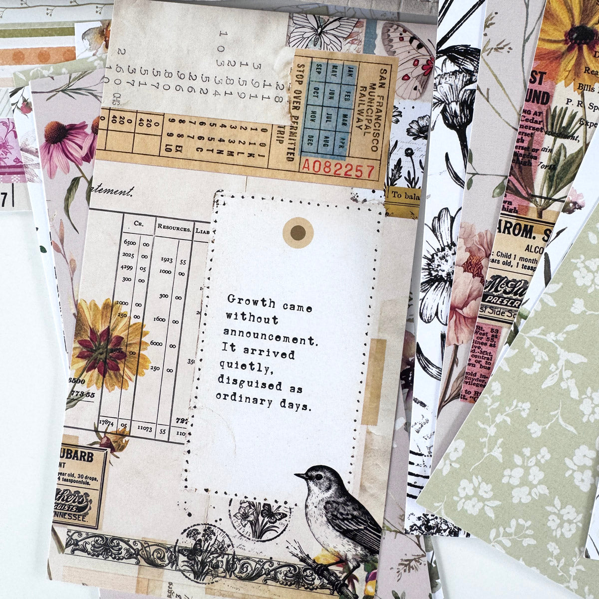 Dashboards Only Subscription - 1 month