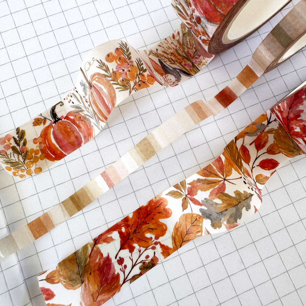 Washi Trio Subscription - 1 month