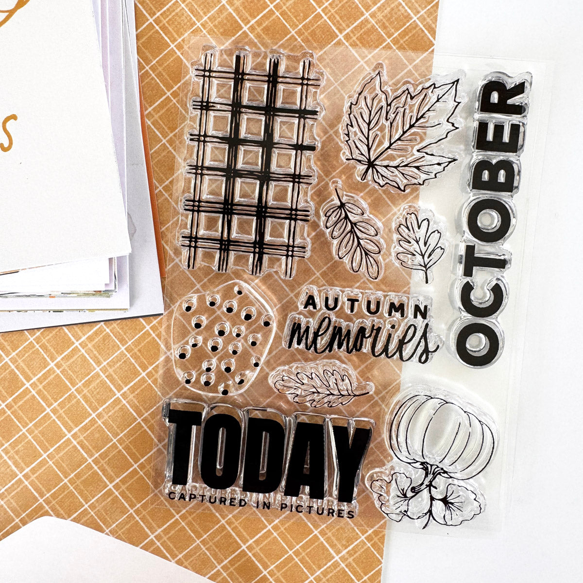 Scrapbooking Kit Subscription - Choose Your Add On - 1 month