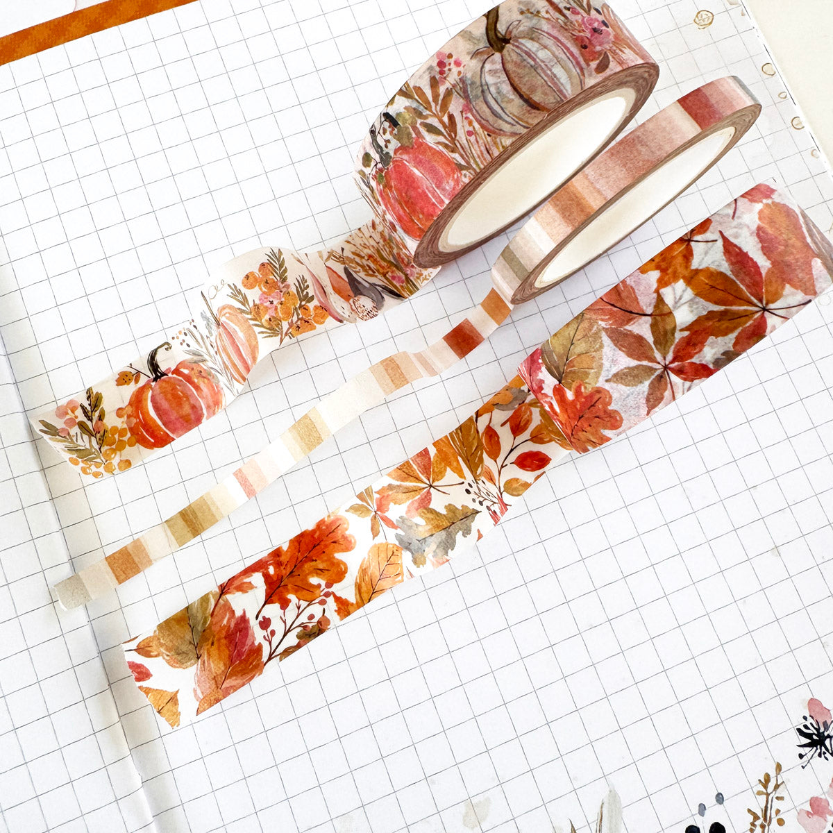 Washi Trio Subscription - 1 month