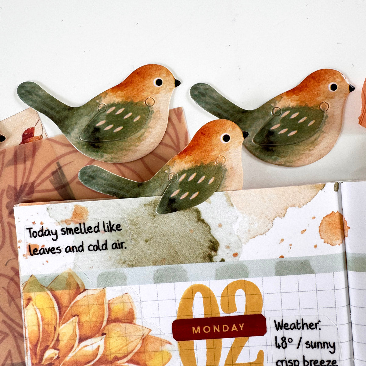 Stationery Kit Subscription - 1 month