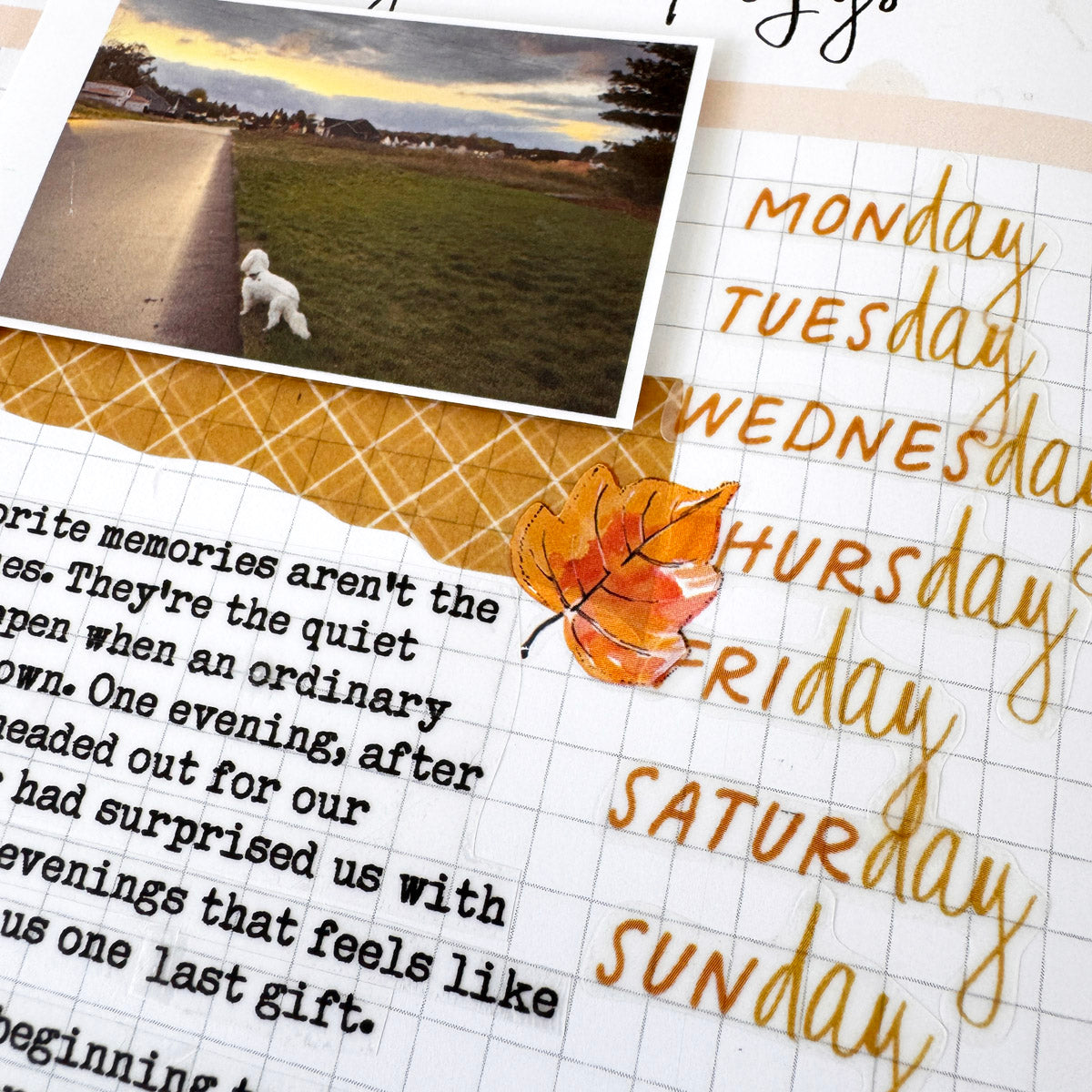 Journaling Kit Subscription - 1 month