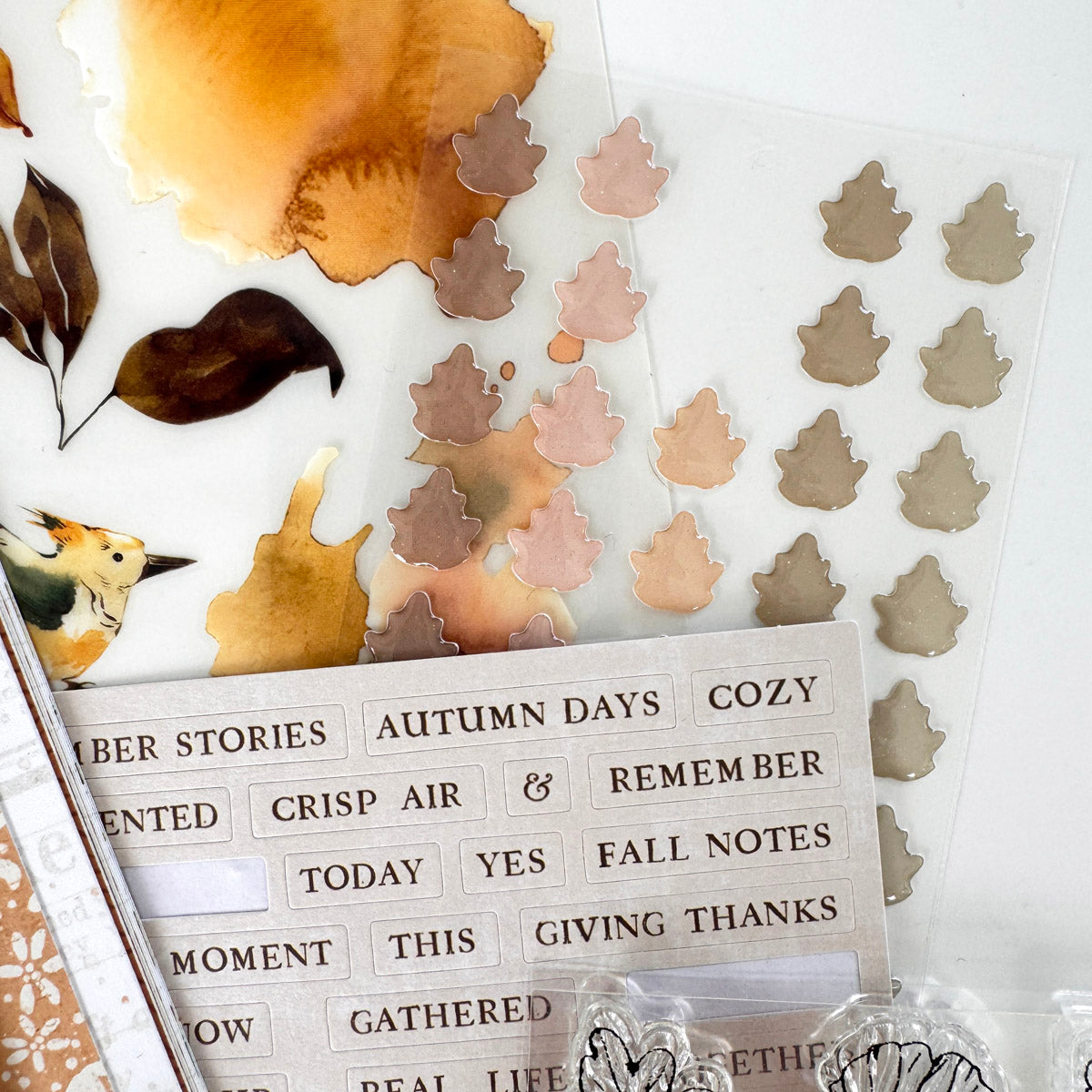 Scrapbooking Kit Subscription - Choose Your Add On - 1 month