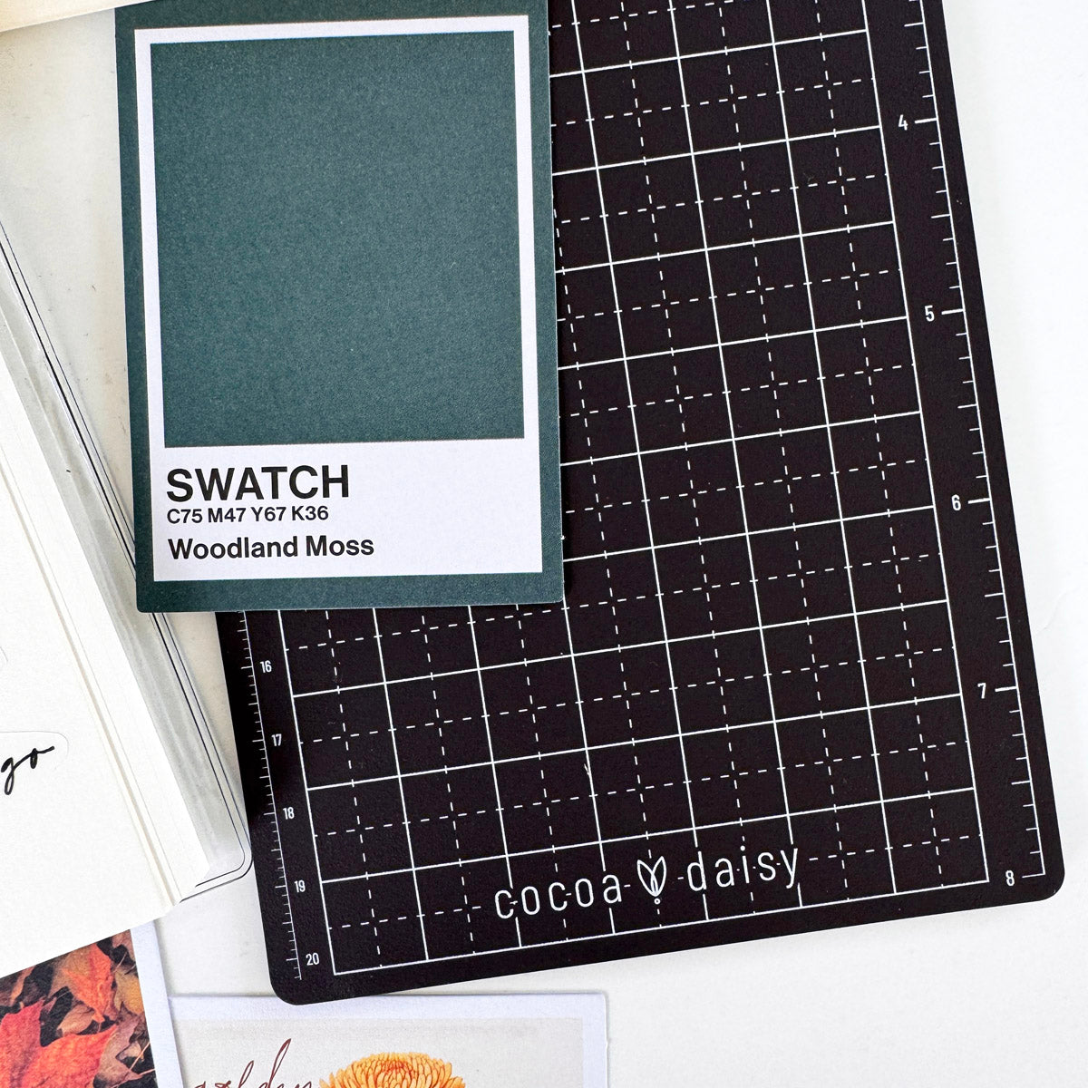 Creative Kit Subscription - 1 month