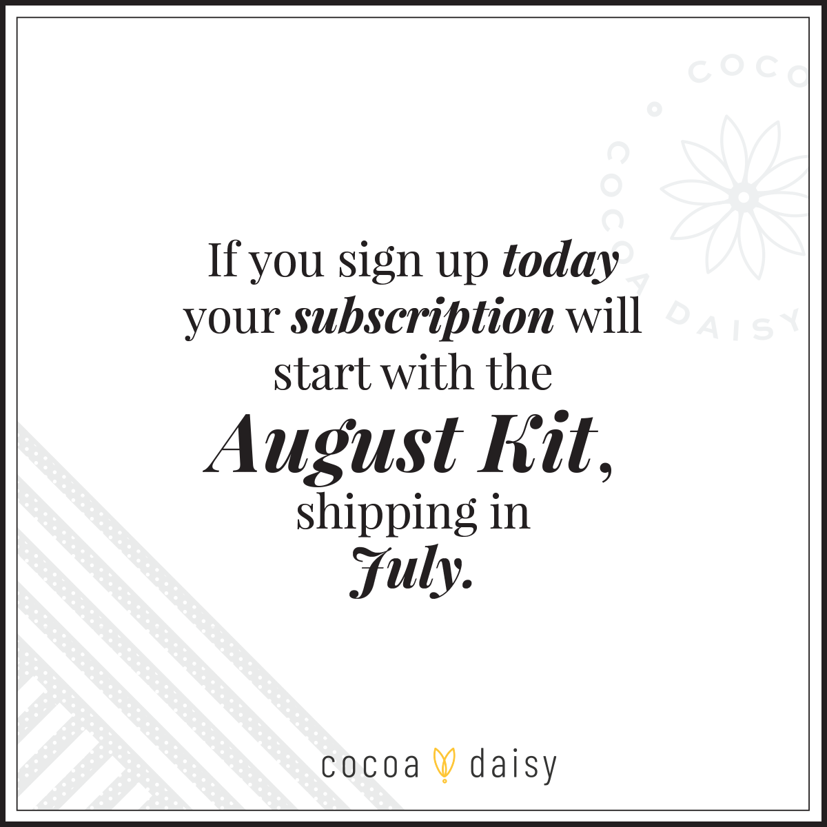 Planner Kit Subscription - Choose your insert or notebook - 1 month