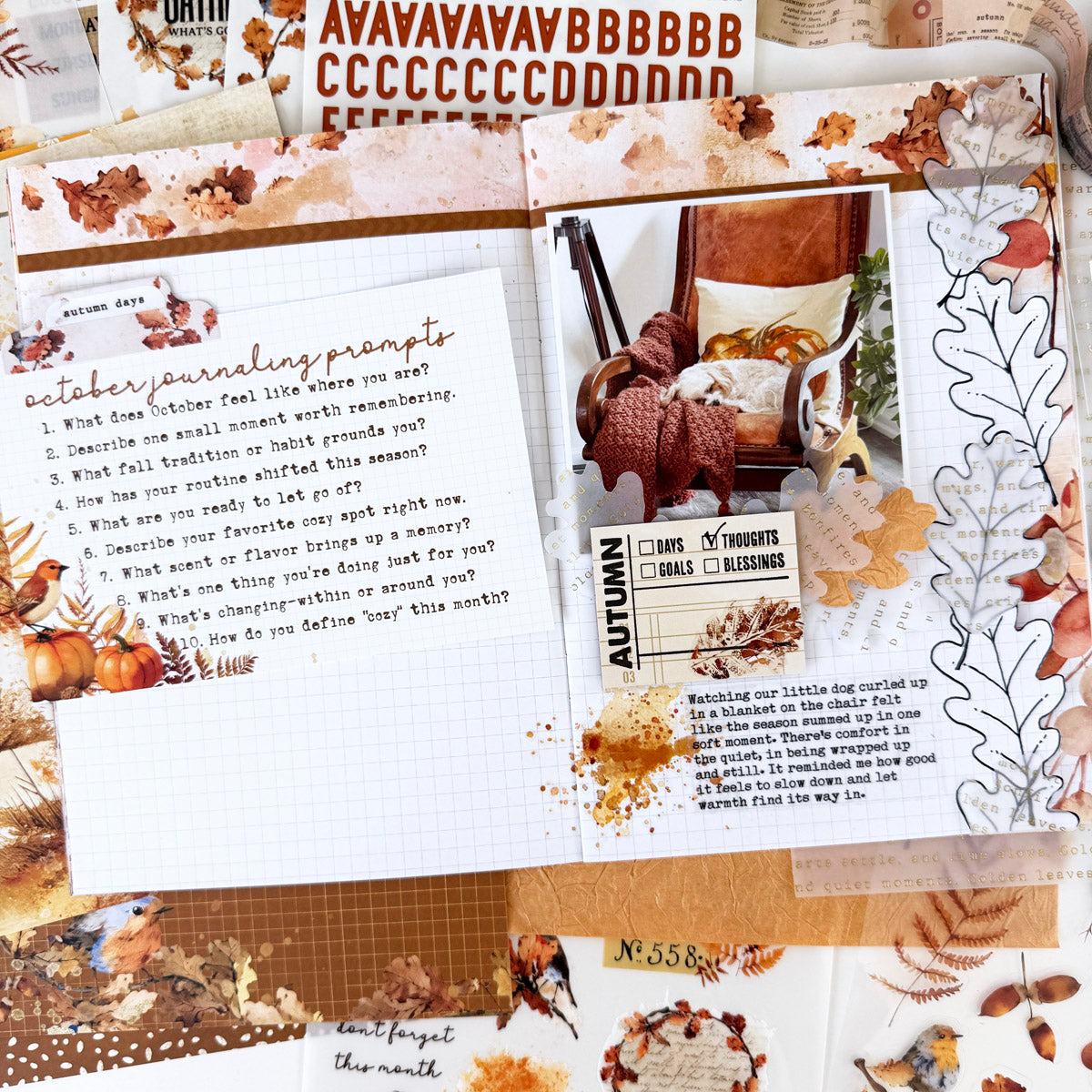 Insert or Notebook Only Subscription - Choose your size - 1 month