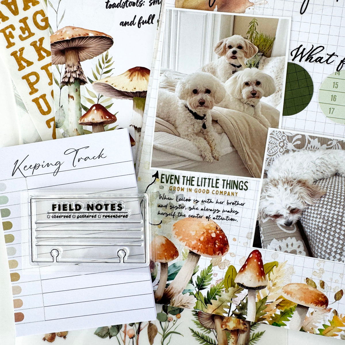 Moss & Mirth Deluxe Journaling Kit- November 2025