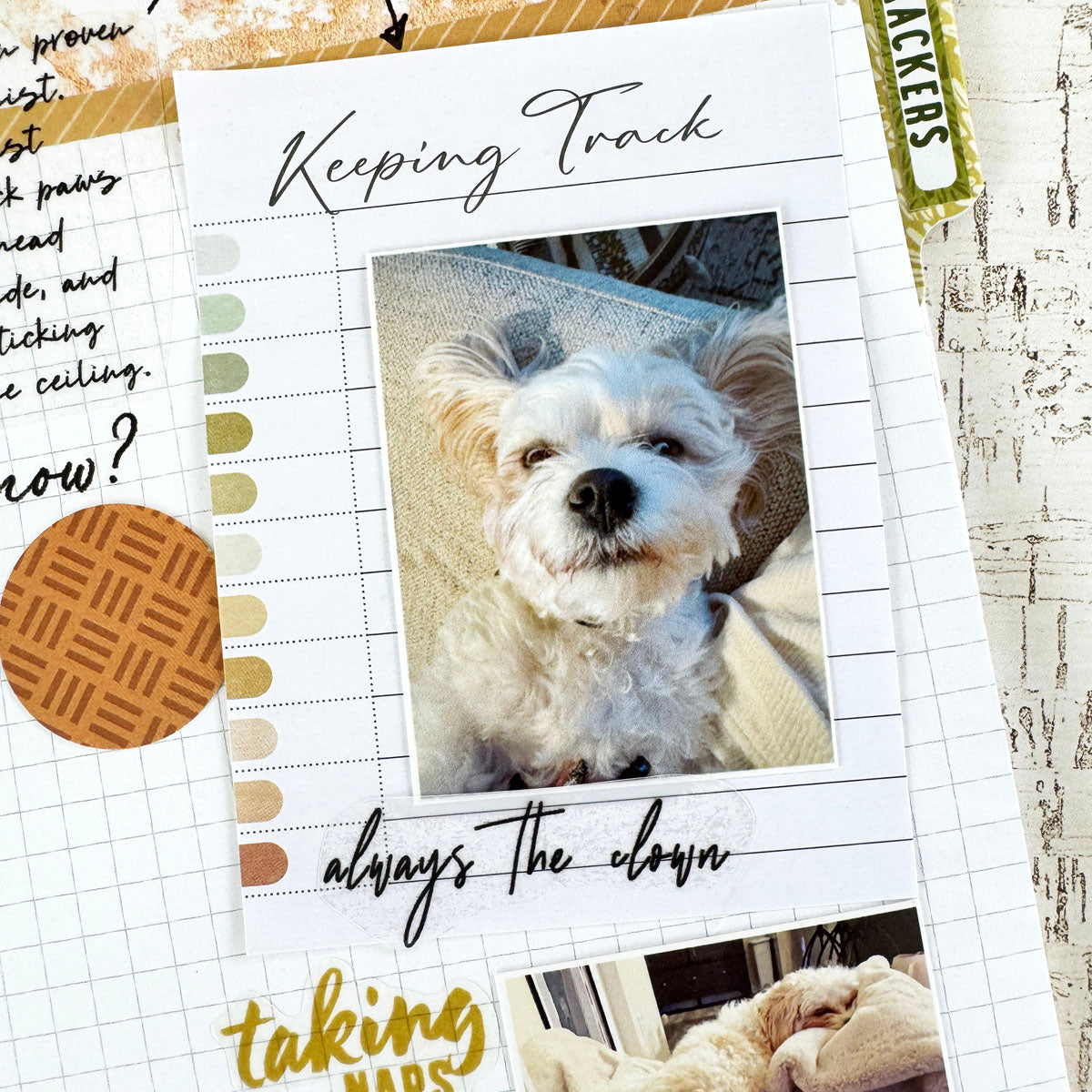 Moss & Mirth Deluxe Journaling Kit- November 2025