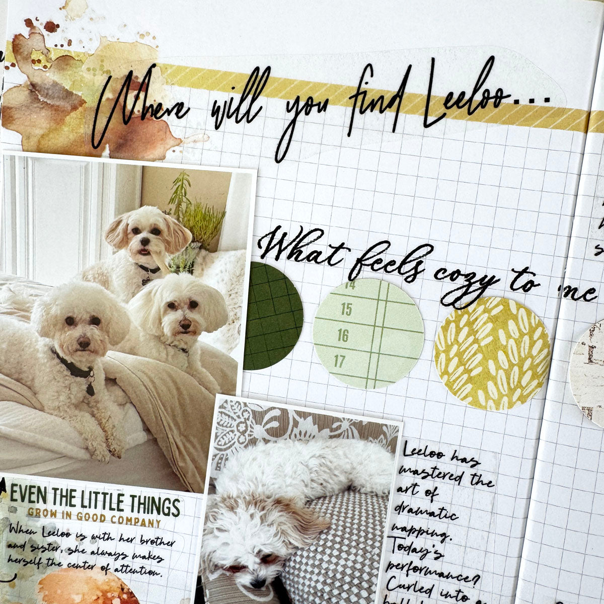 Moss & Mirth Deluxe Journaling Kit- November 2025