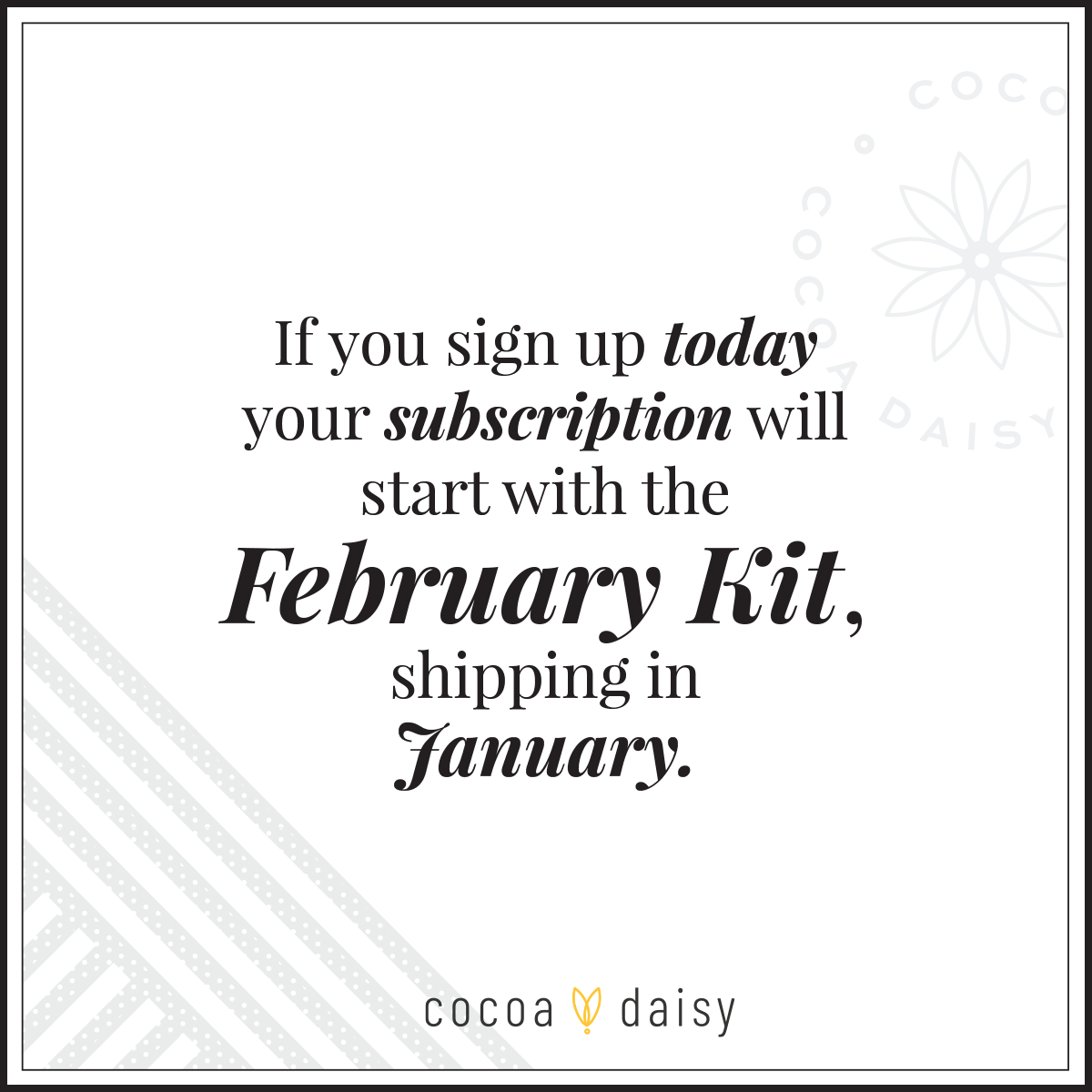 SimpleDaisy Notebook Subscription - 1 month