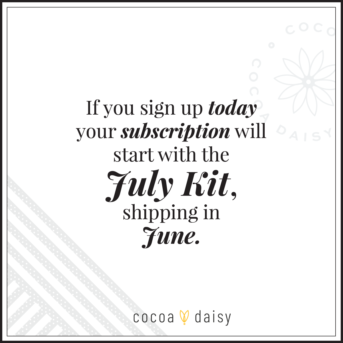 Cocoa Daisy Pouch Subscription - 1 month