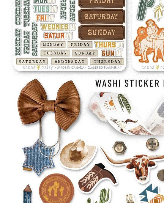 Big Sky Brown Fabric Bow Clip - March 2024