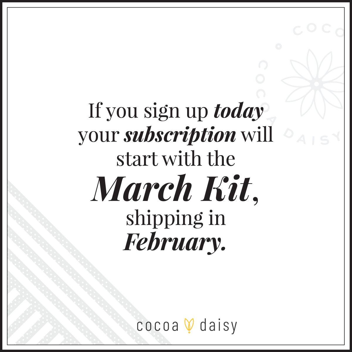 Planner Kit Subscription - Choose your insert or notebook - 1 month