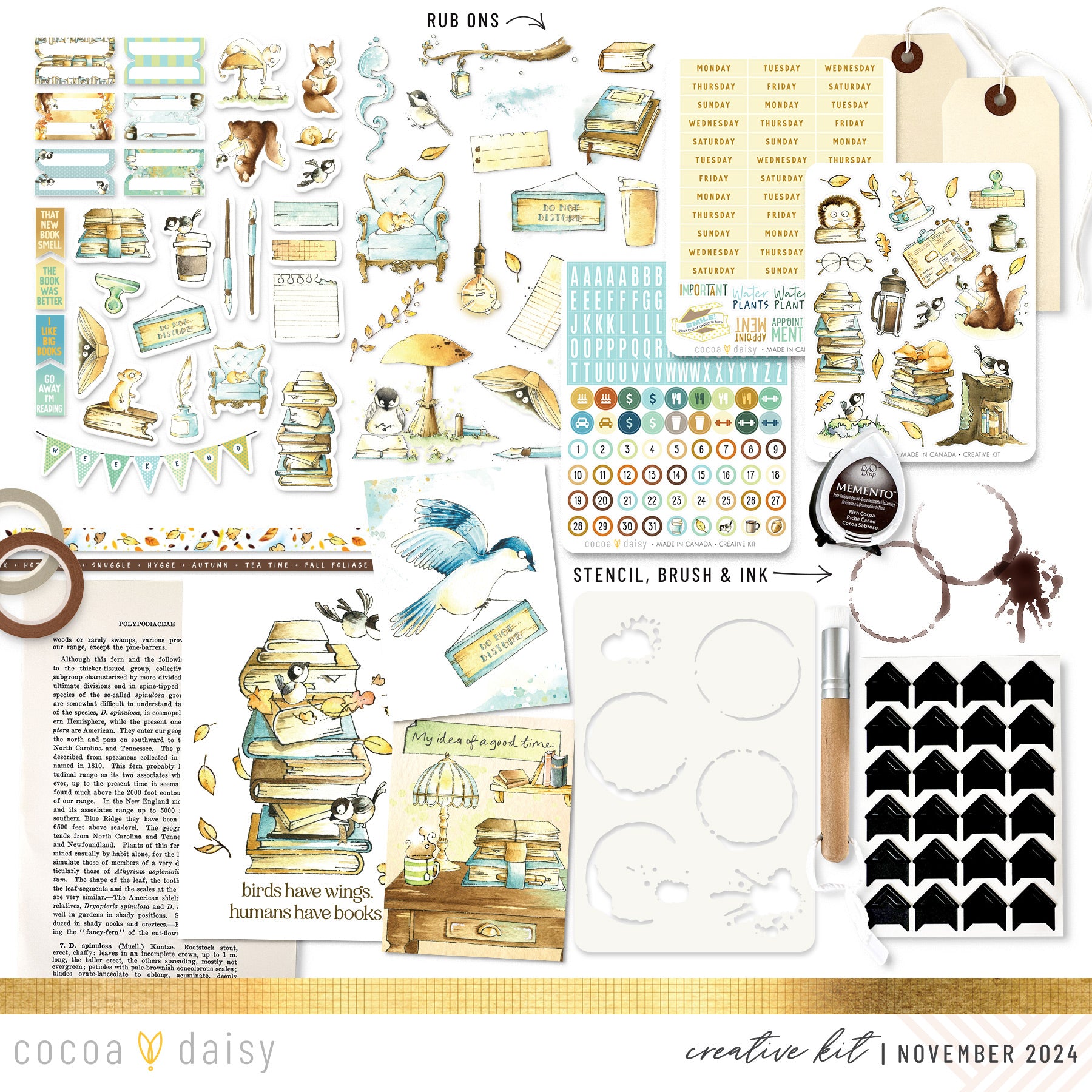 Chapters Creative Kit November 2024