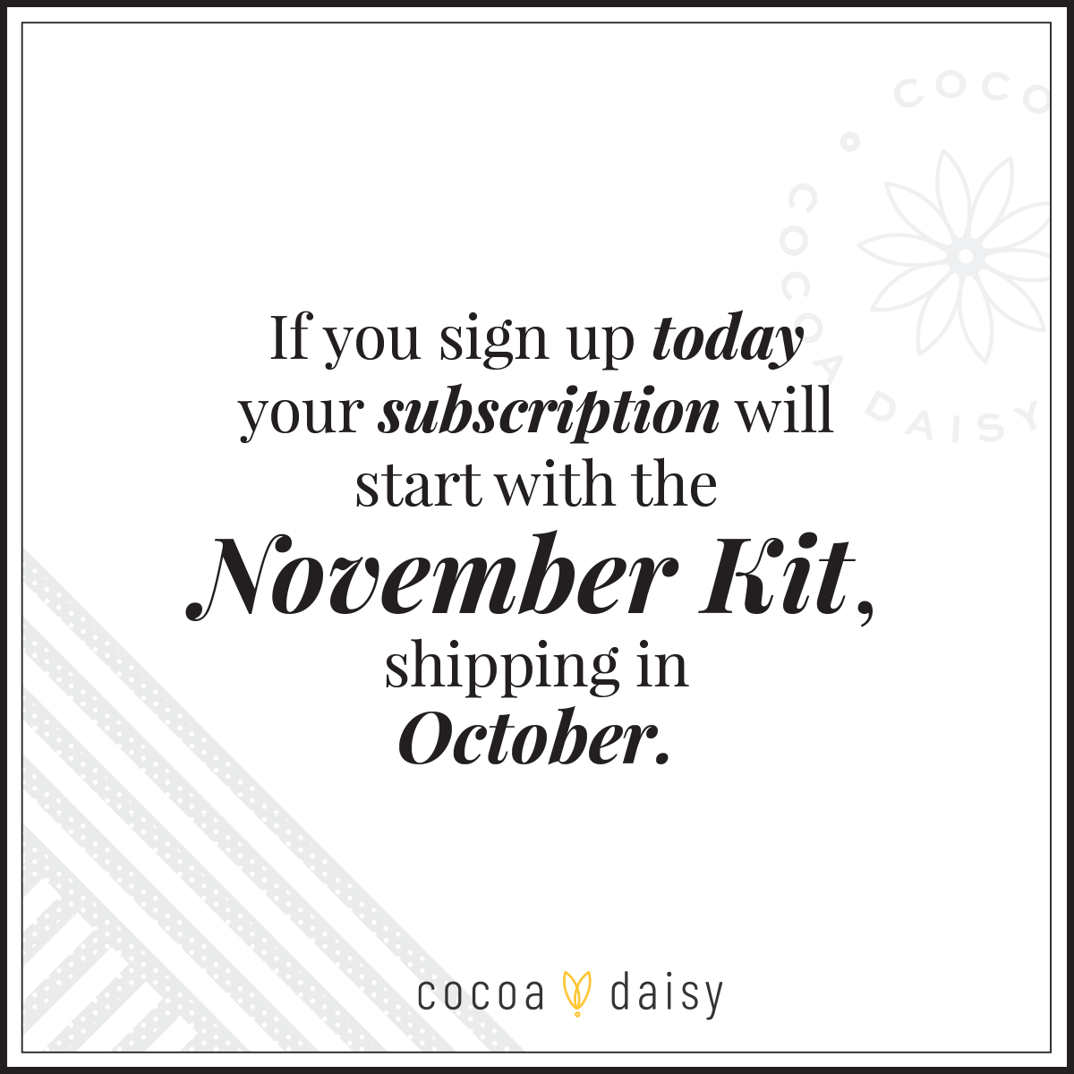 Planner Kit Subscription - Choose your insert or notebook - 1 month