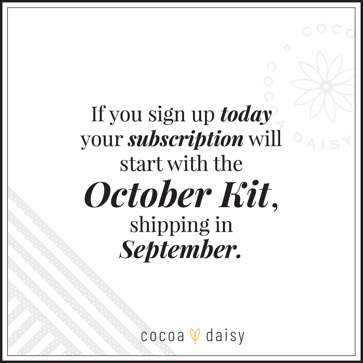 SimpleDaisy Notebook Subscription - 1 month