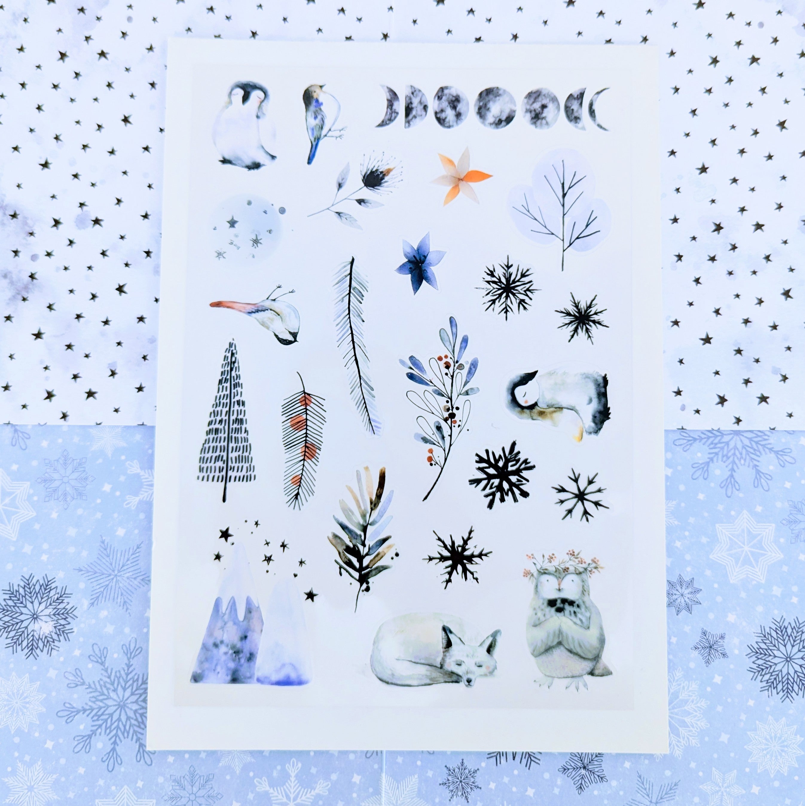 Nordic Nights PET stickers - January 2025