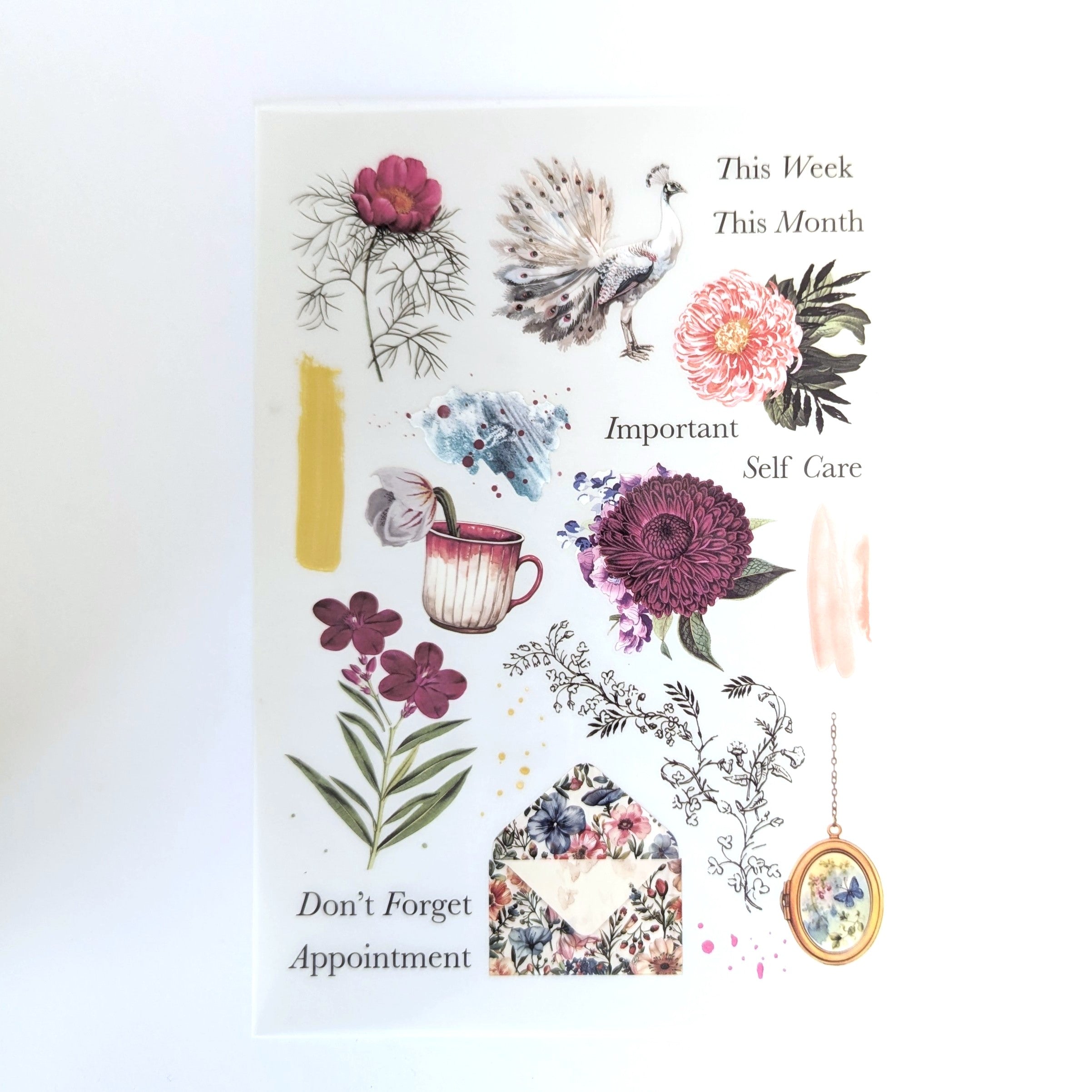 Penelope "This Week/Month" Rub-On Transfers from the Journaling Kit  - February 2025