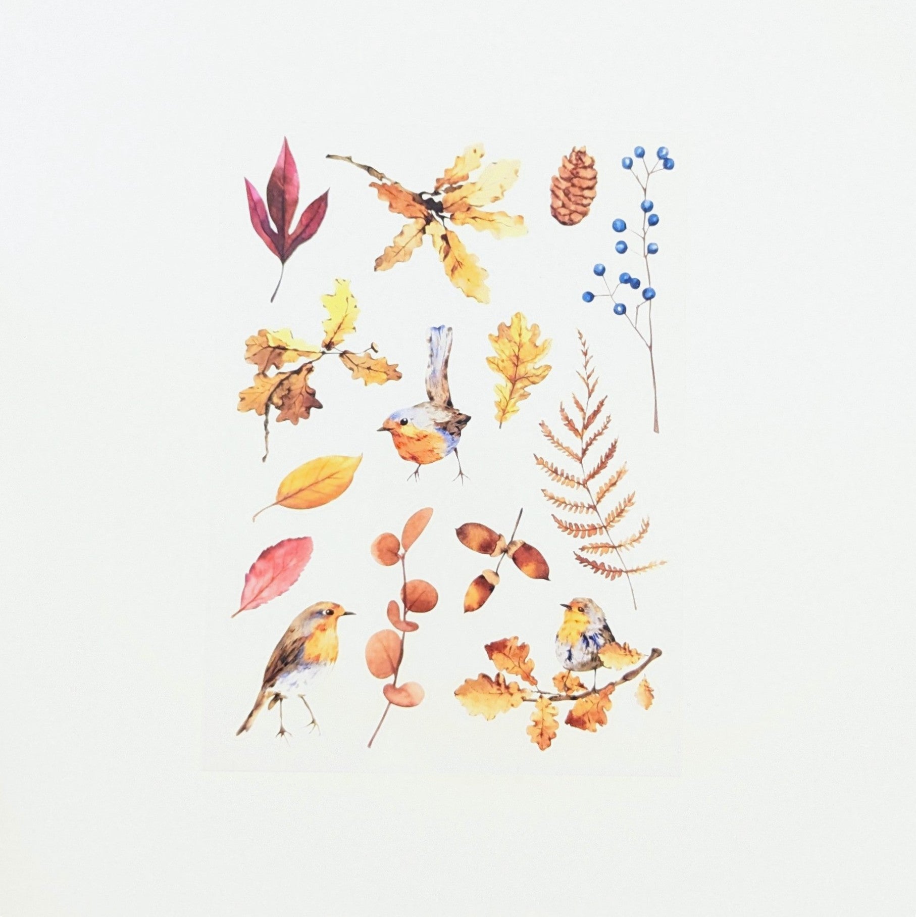 October Glow "Birds & Leaves" Planner Kit PET stickers - October 2025