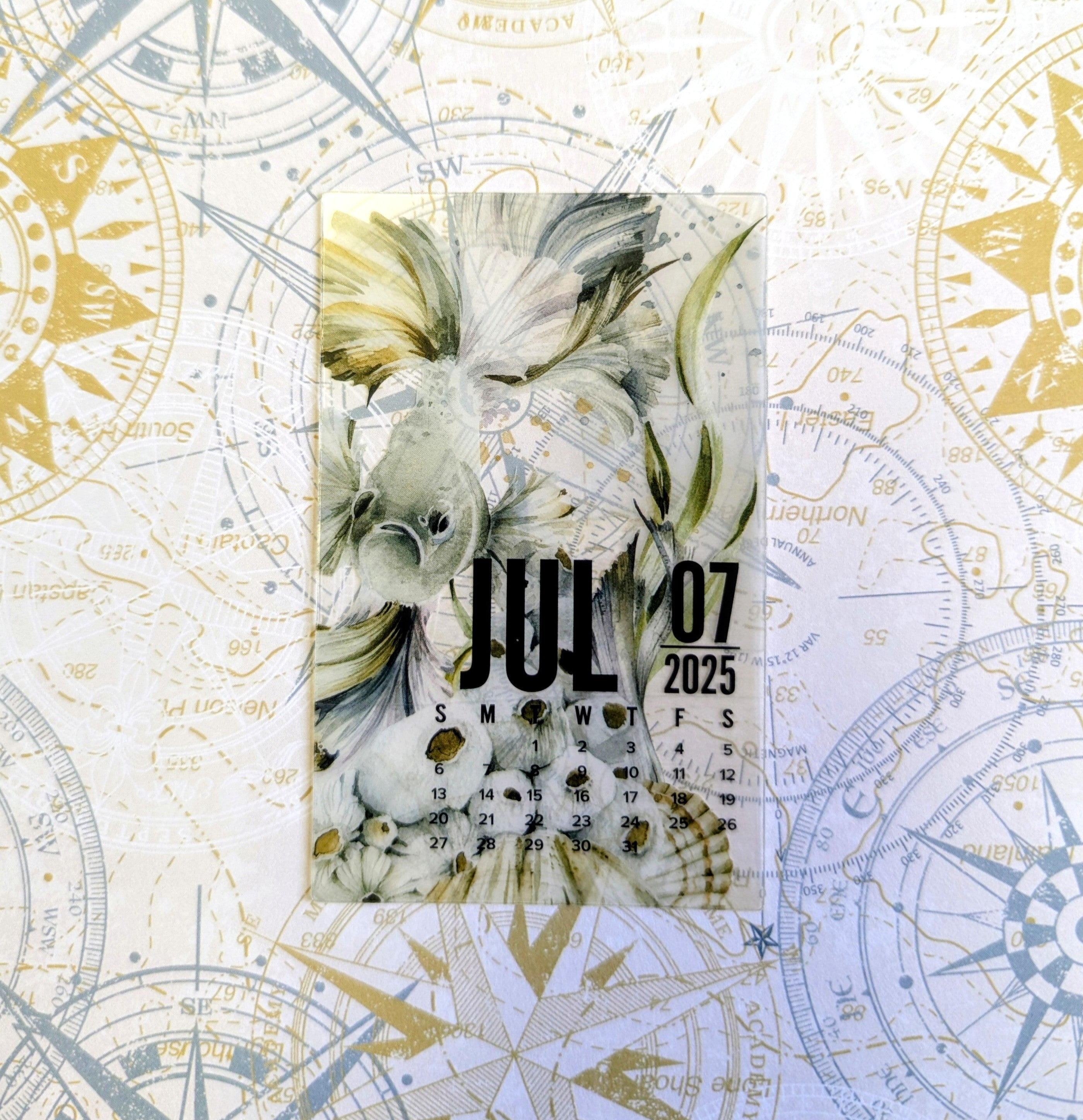 Where The Sea Dreams Clear Calendar Card - July 2025