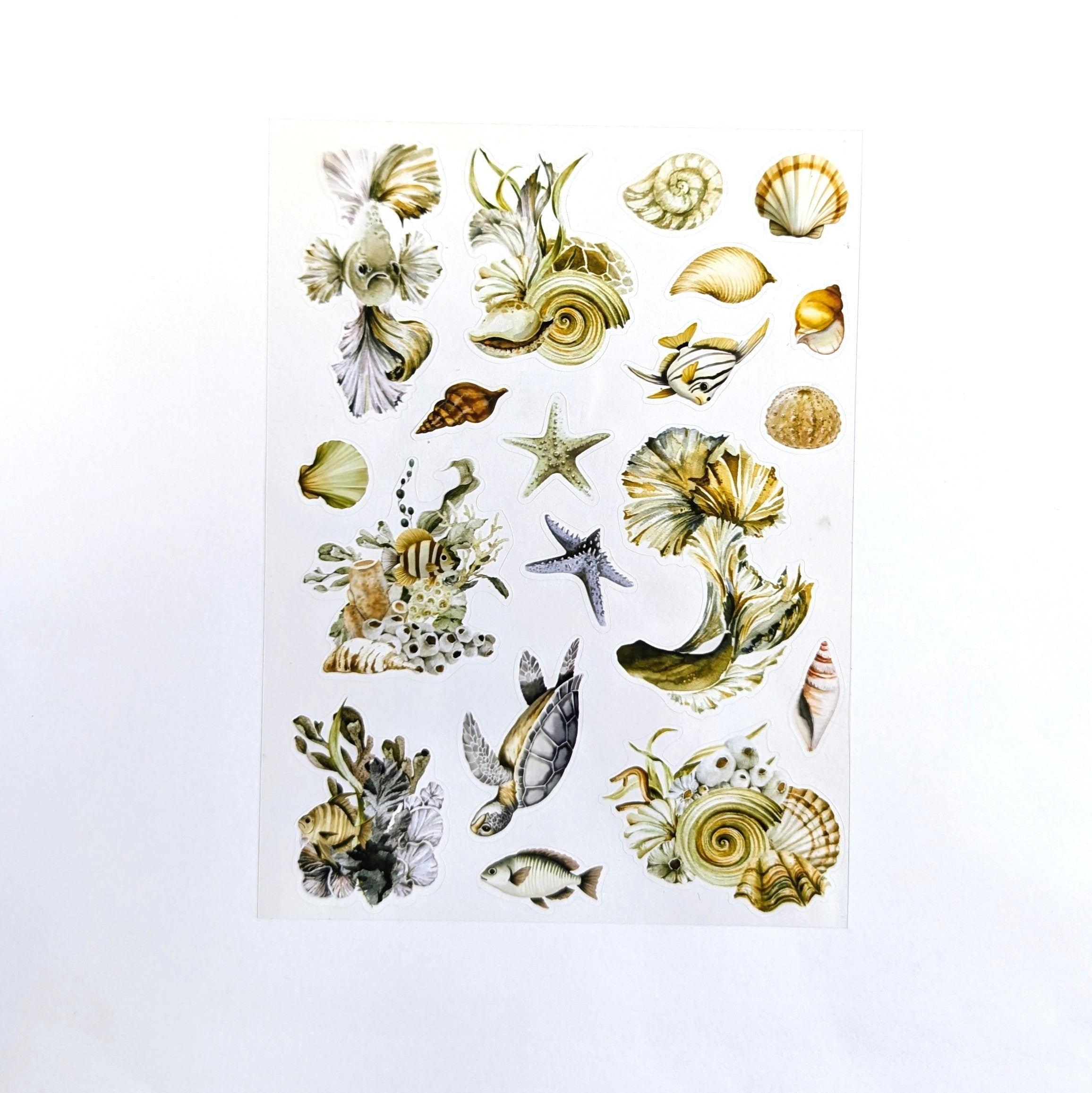 Where The Sea Dreams "Fish & Shells" Deluxe Journaling Kit PET stickers - July 2025