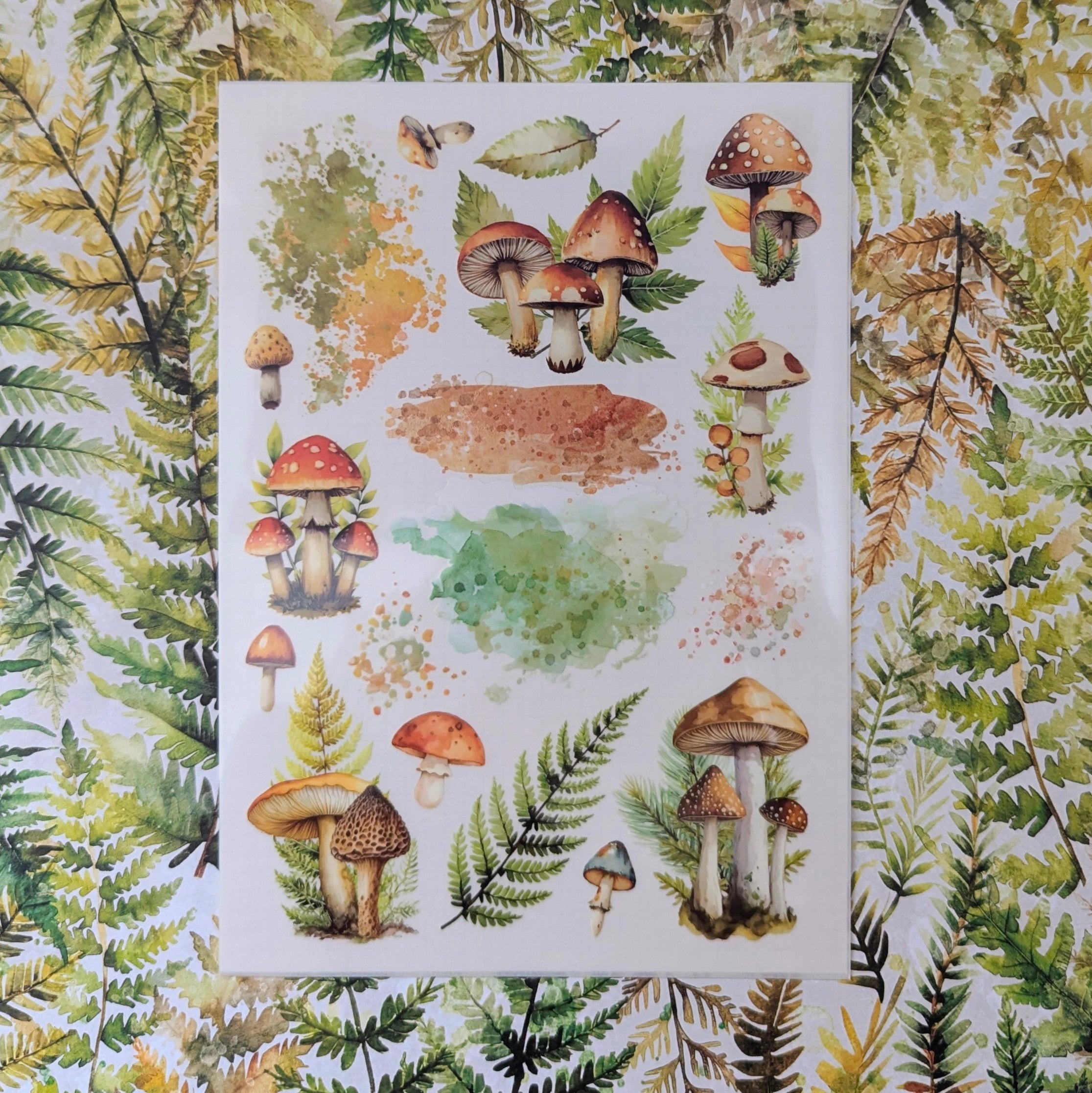 Moss & Mirth "Watercolors and Wild Mushrooms" Rub On Transfers  - May 2025